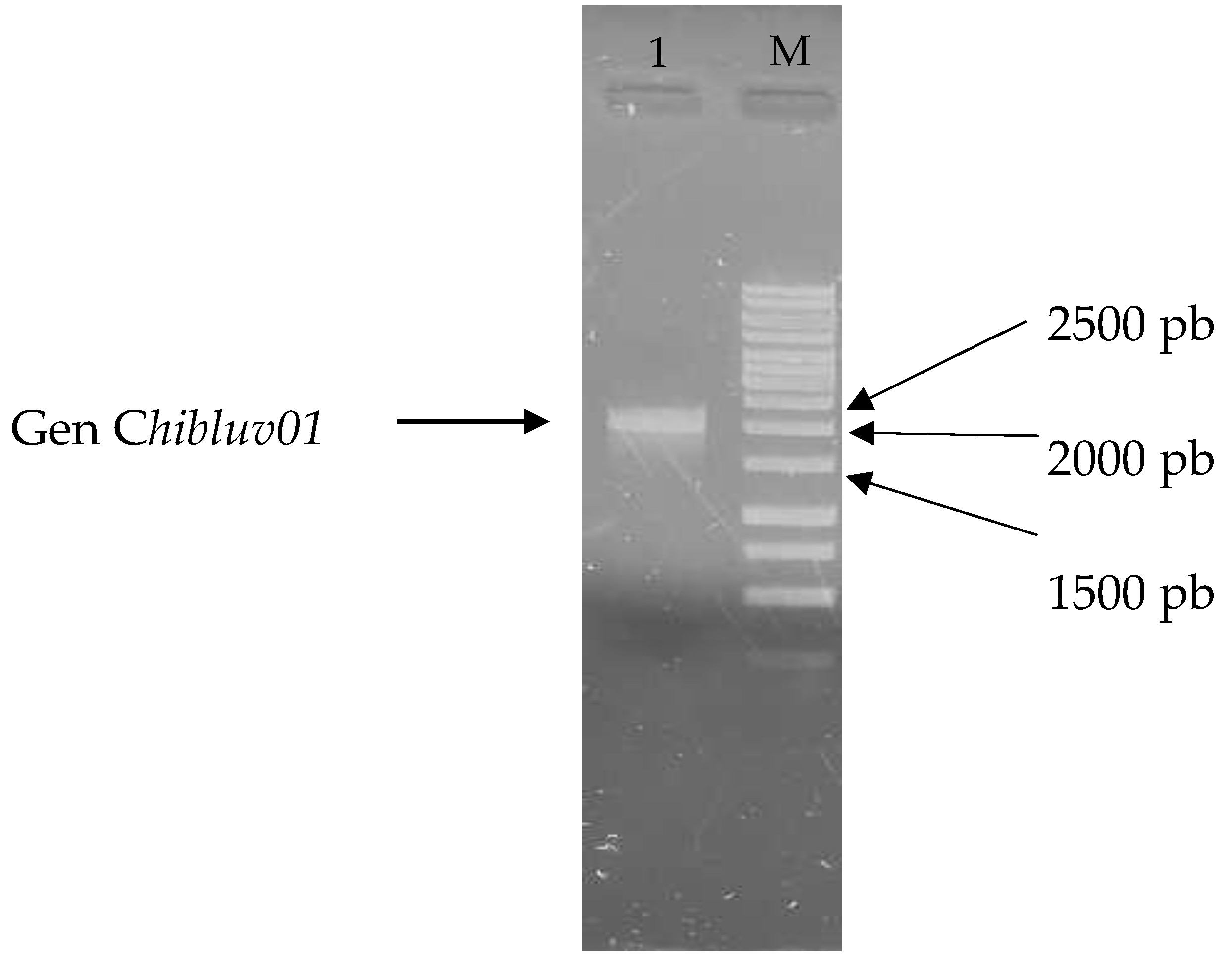 Applmicrobiol 05 00048 g001