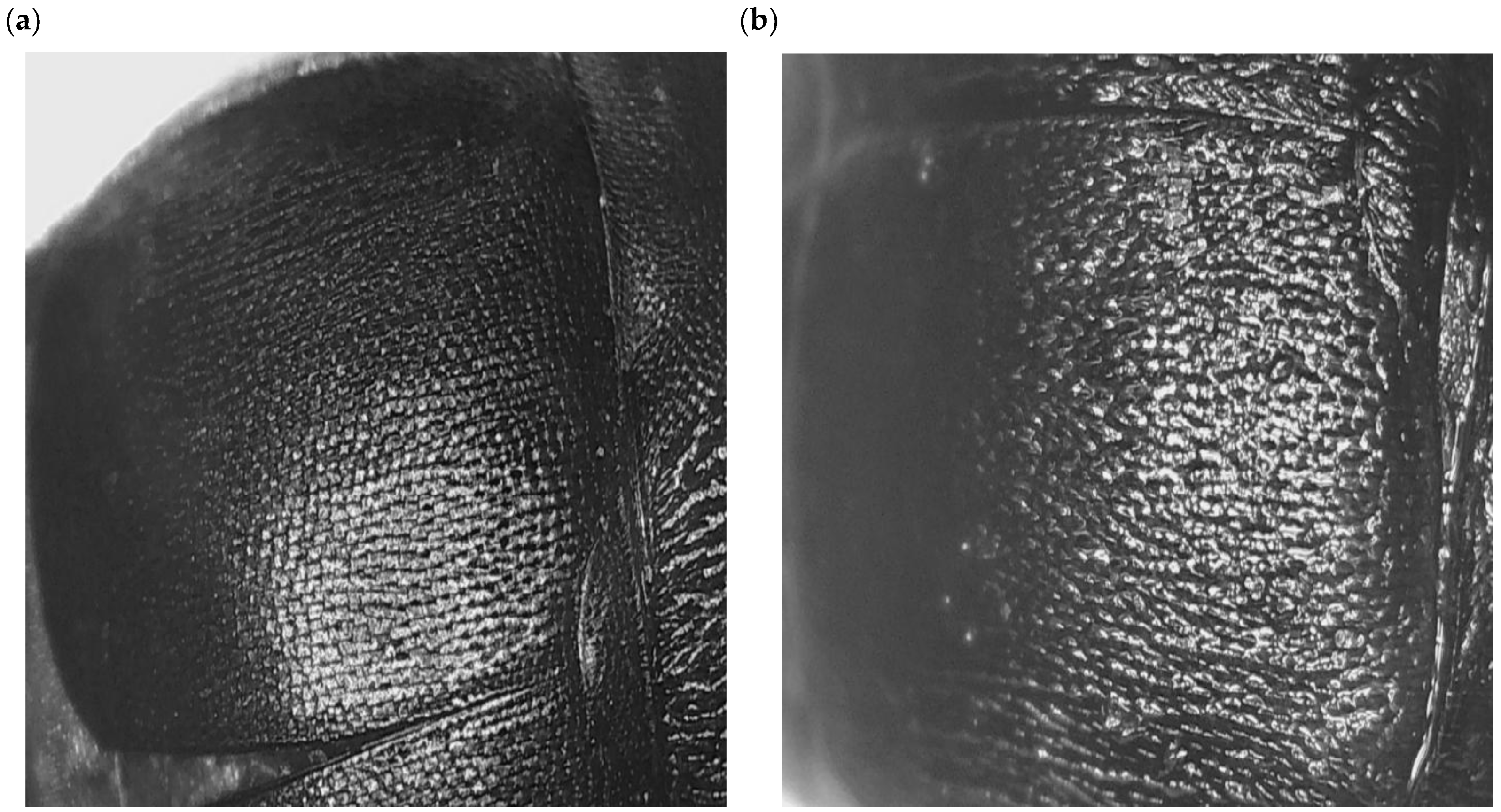 Applmicrobiol 05 00048 g009