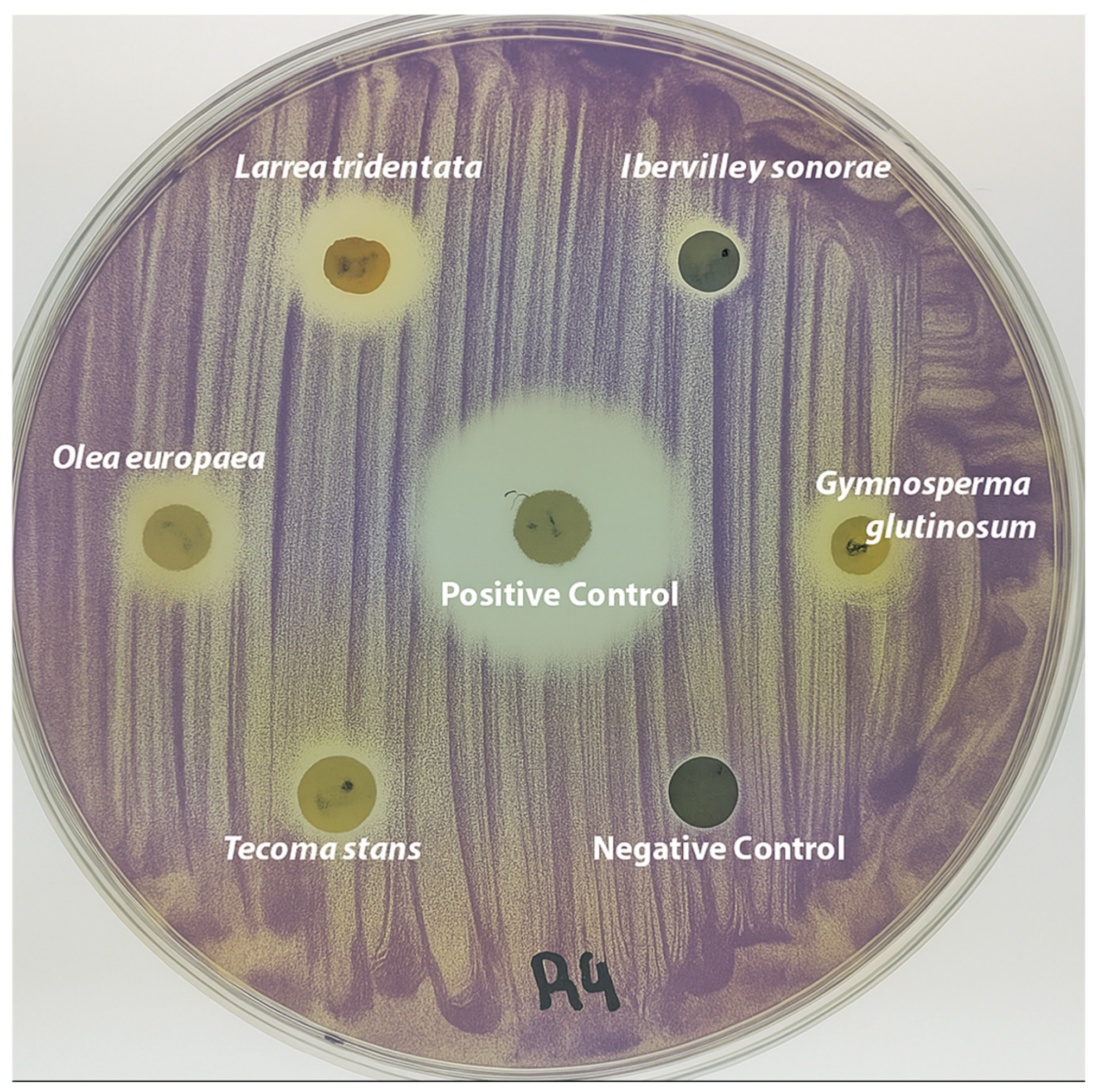 Applmicrobiol 05 00061 g002 Applmicrobiol 05 00061 g002