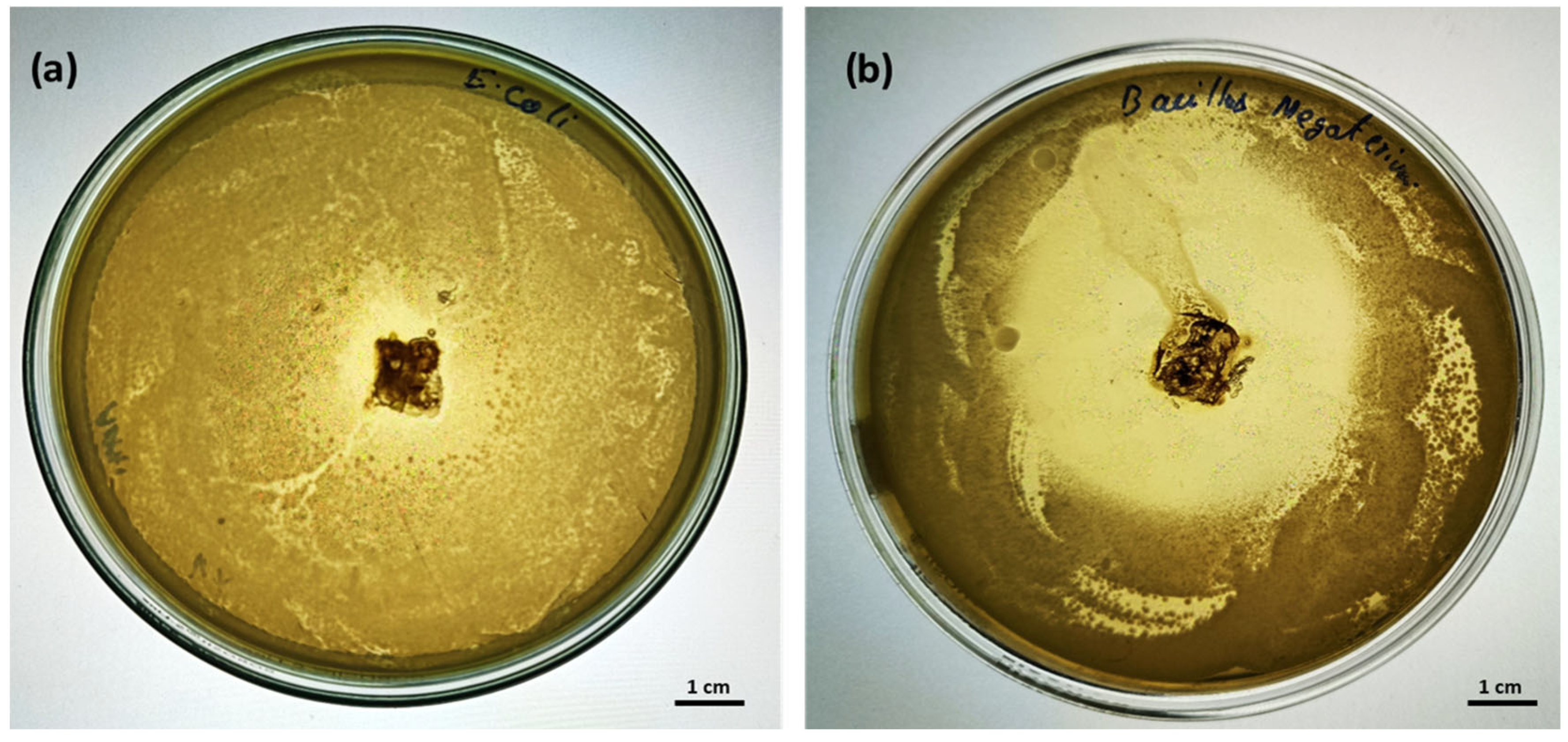 Applmicrobiol 05 00071 g013