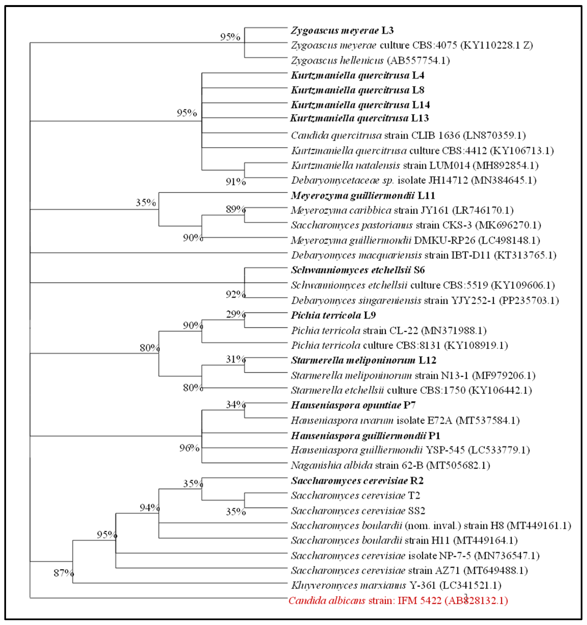 Applmicrobiol 05 00076 g002