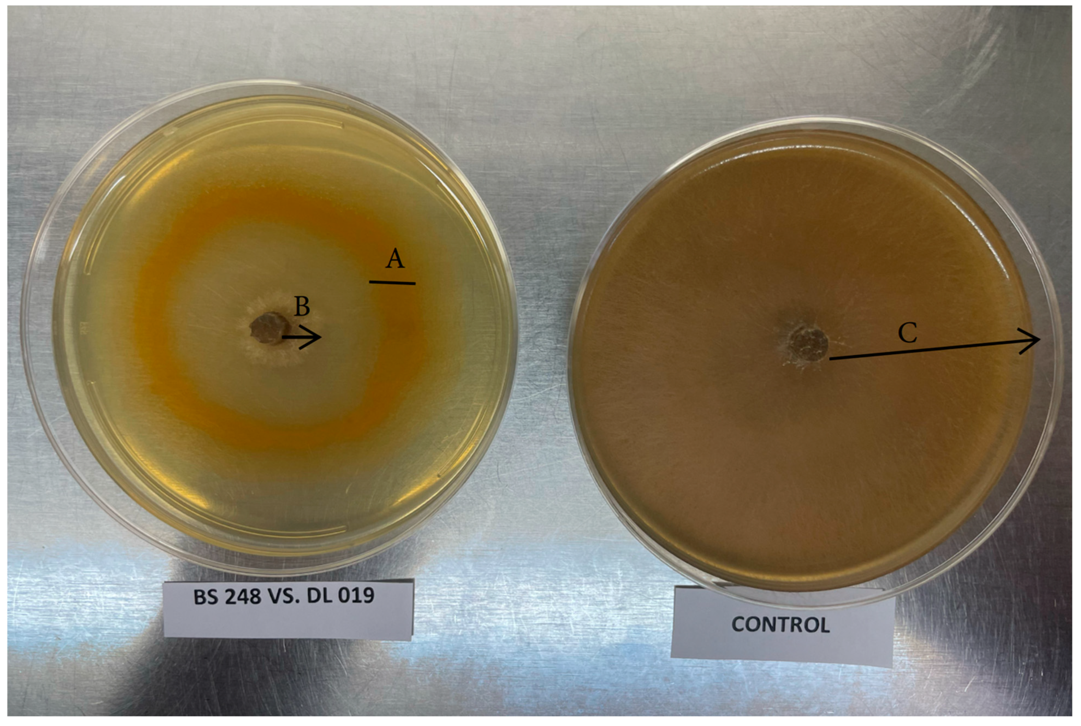 Applmicrobiol 05 00085 g001
