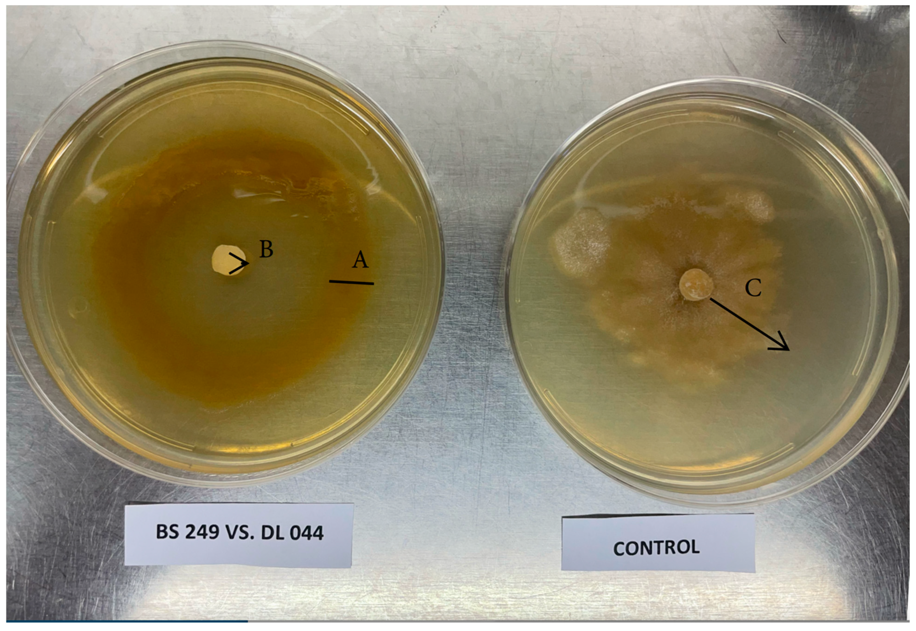 Applmicrobiol 05 00085 g002