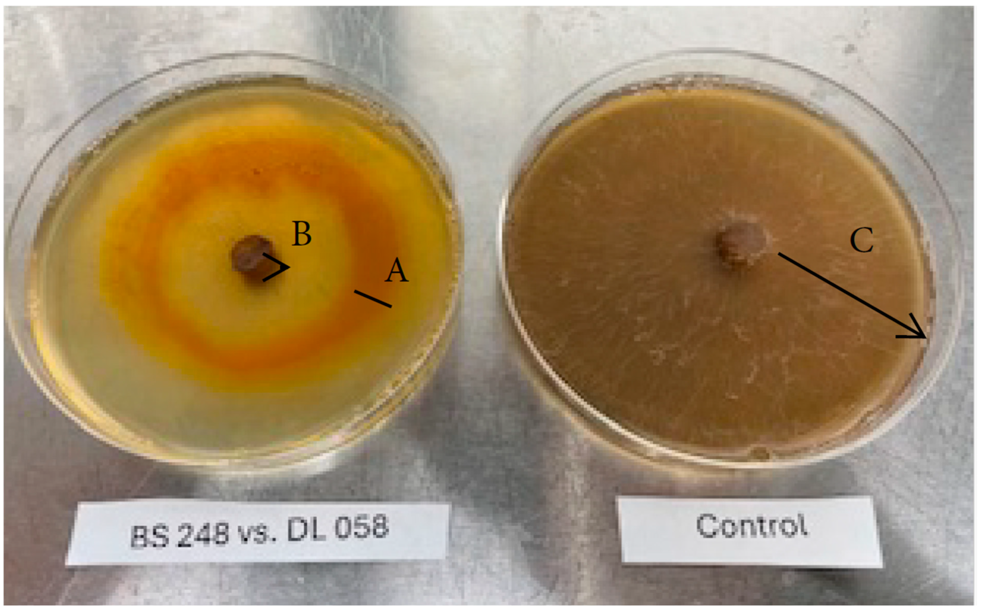 Applmicrobiol 05 00085 g004