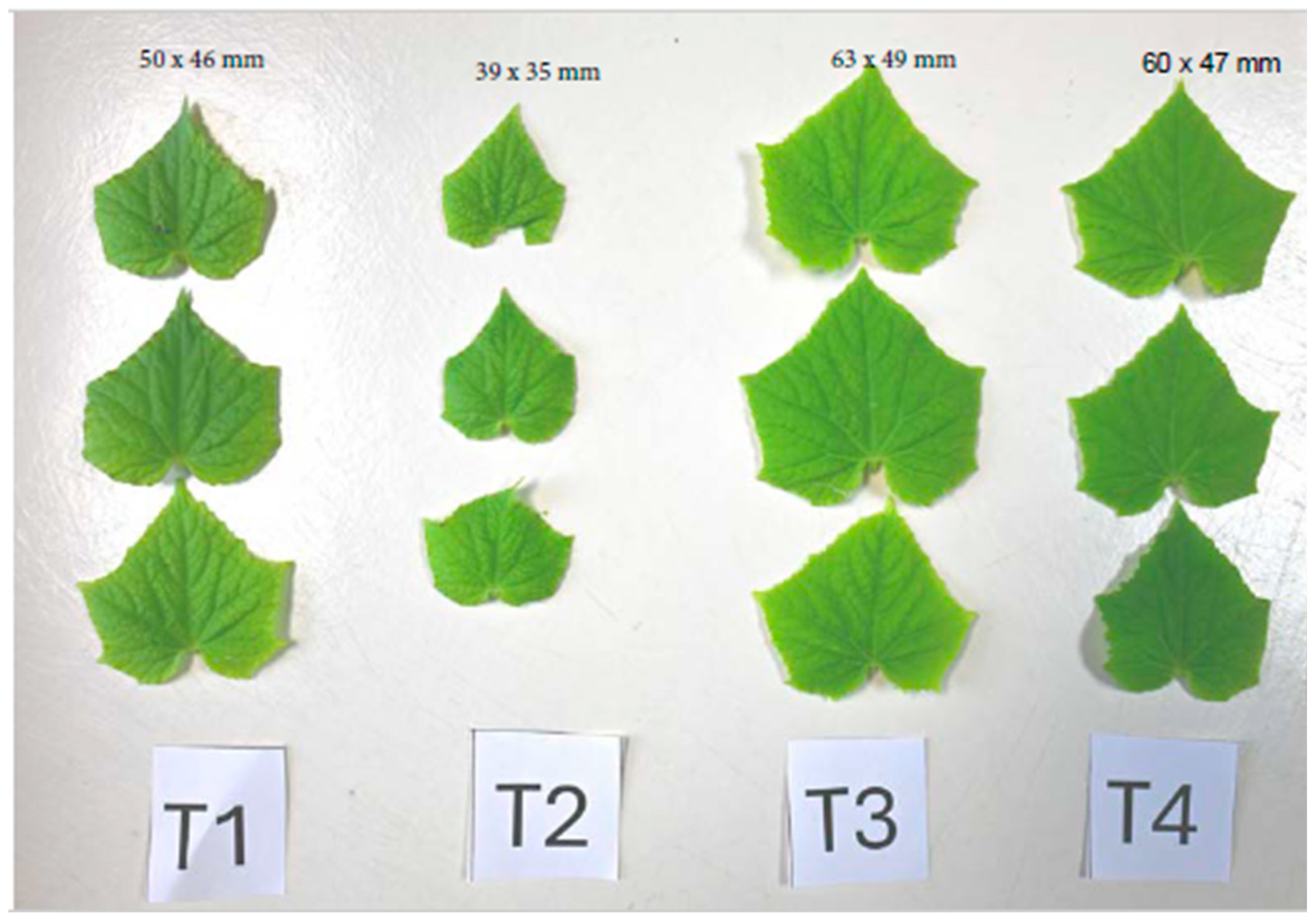 Applmicrobiol 05 00085 g006