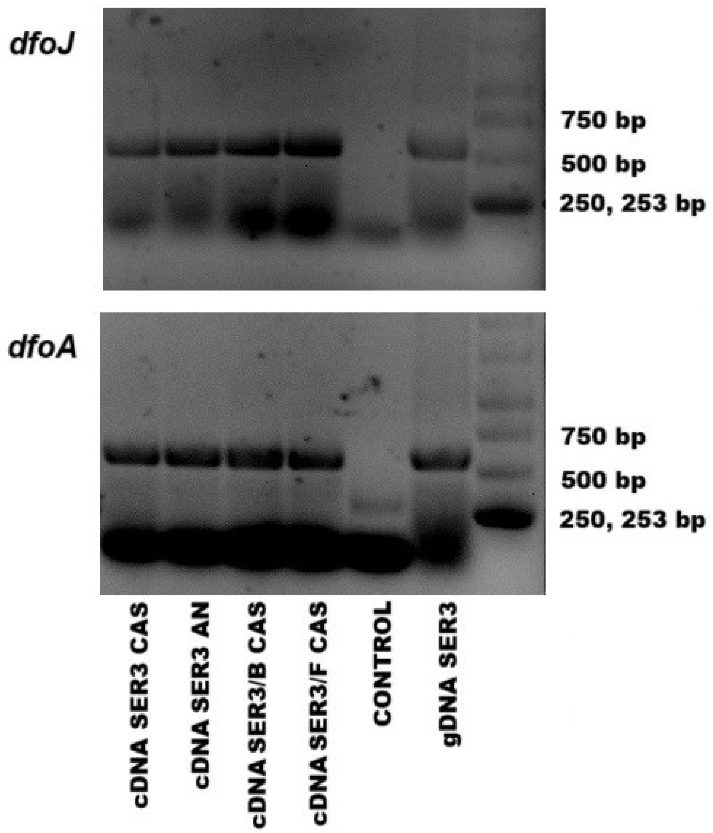 Applmicrobiol 05 00091 g008 Applmicrobiol 05 00091 g008
