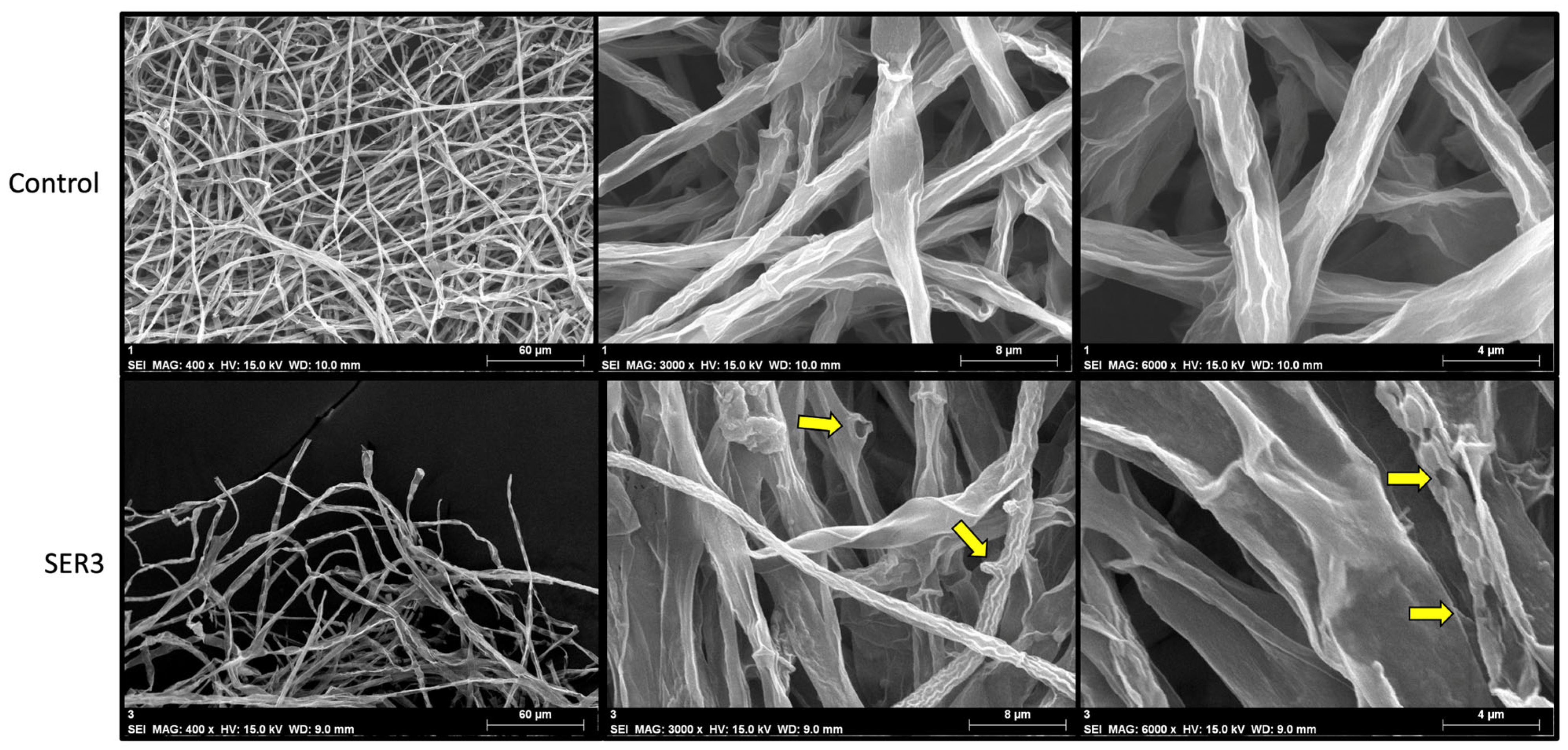Applmicrobiol 05 00091 g009 Applmicrobiol 05 00091 g009