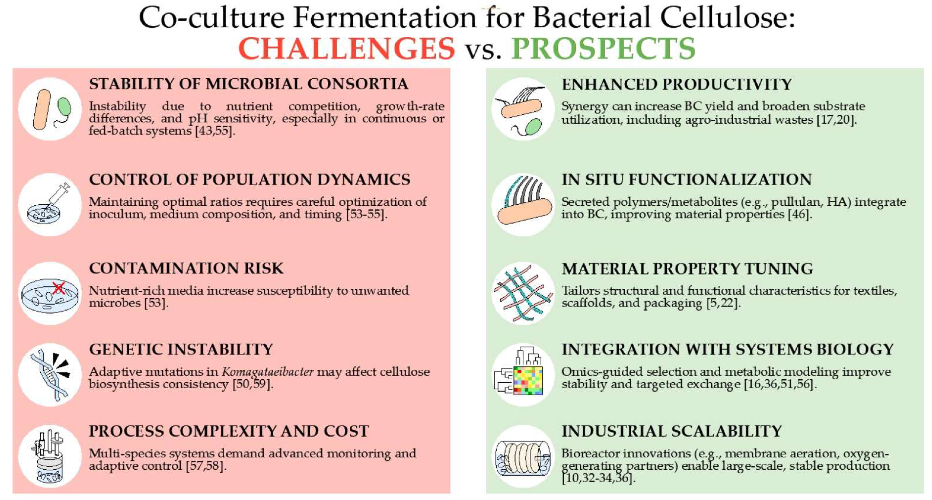 Applmicrobiol 05 00092 g003