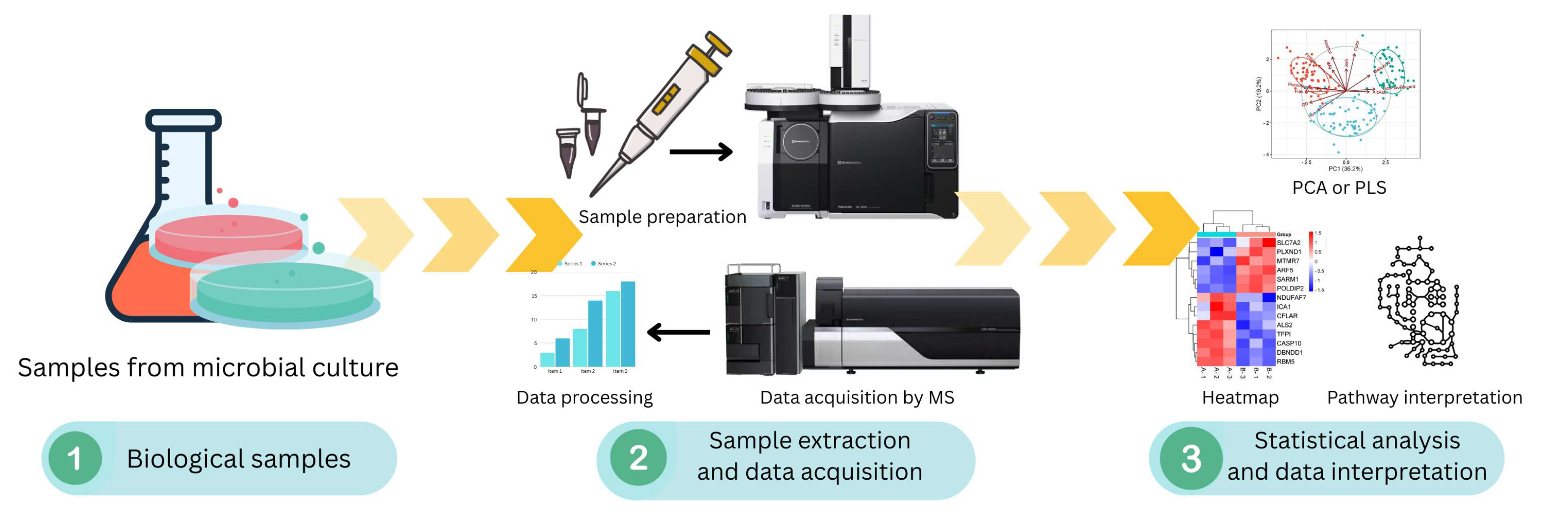 Applmicrobiol 05 00092 g004