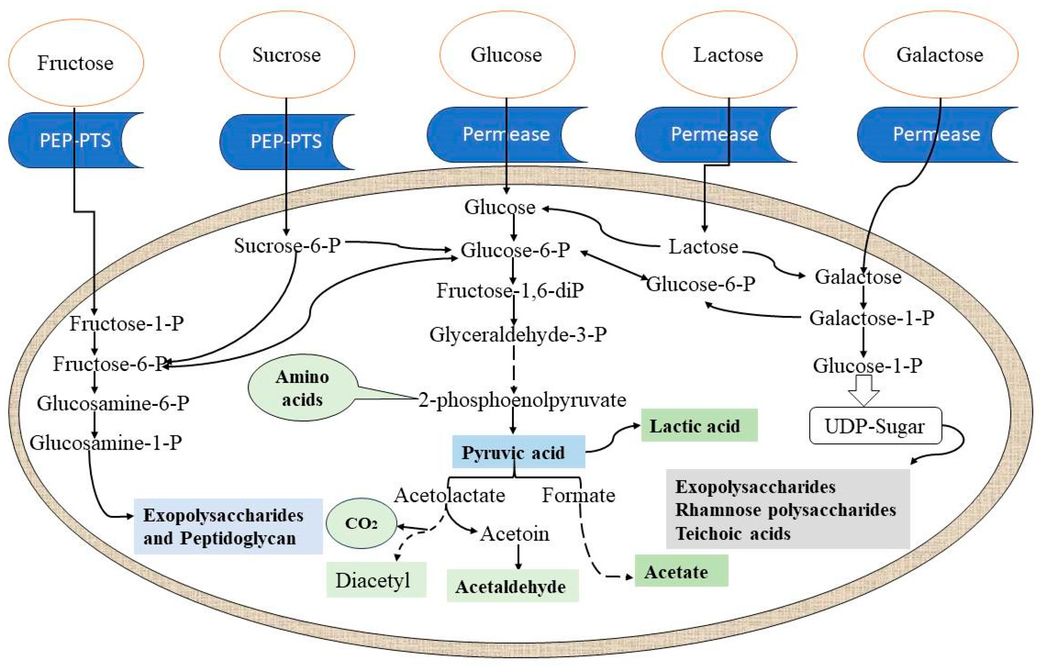 Applmicrobiol 05 00101 g002 Applmicrobiol 05 00101 g002