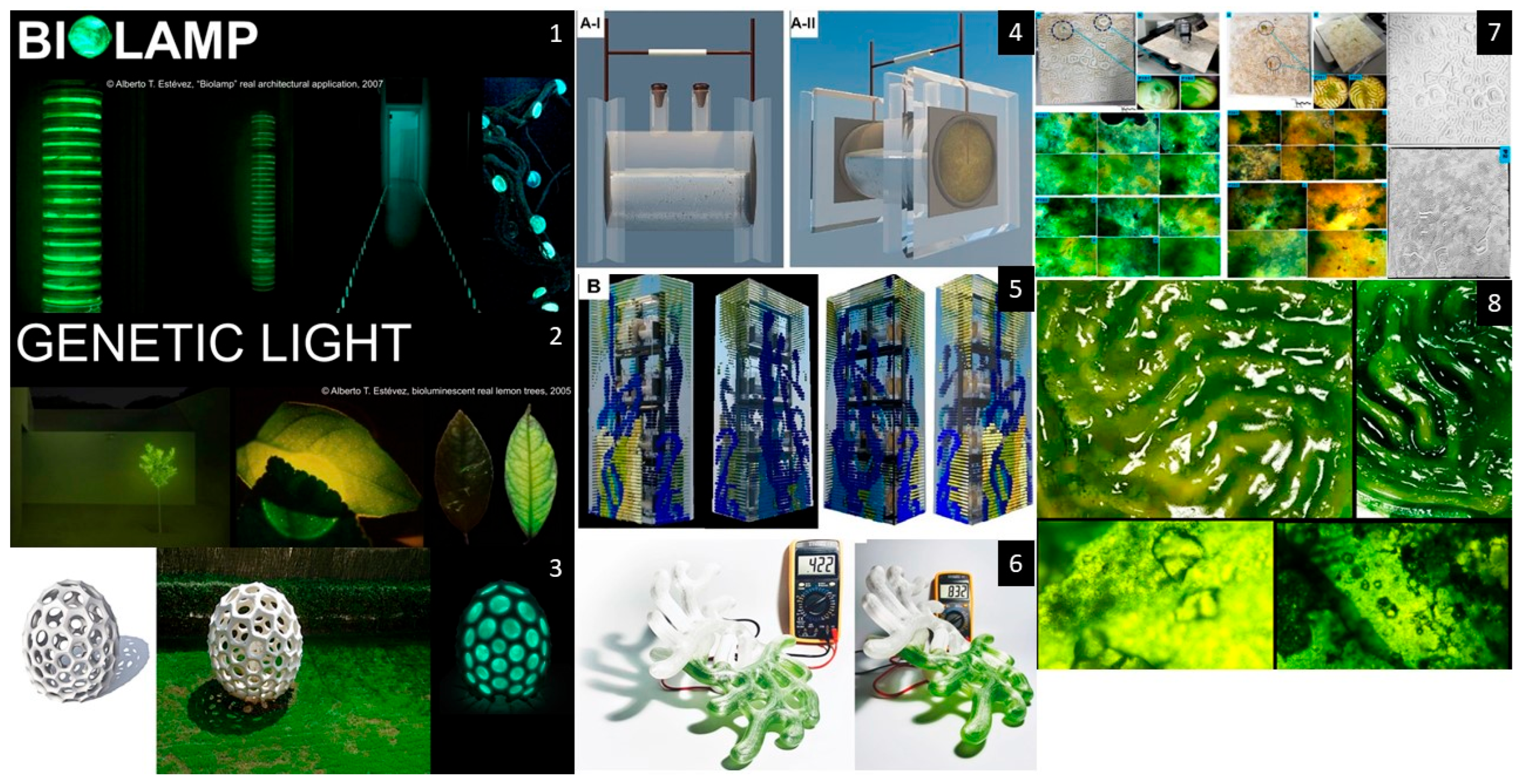 Applmicrobiol 05 00105 g001