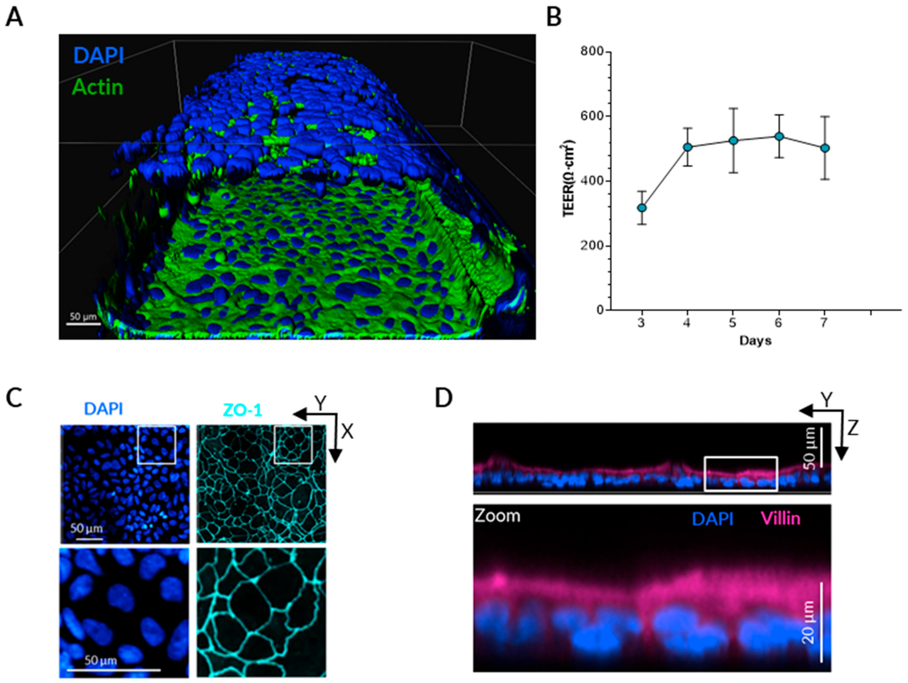 Applmicrobiol 05 00110 g001