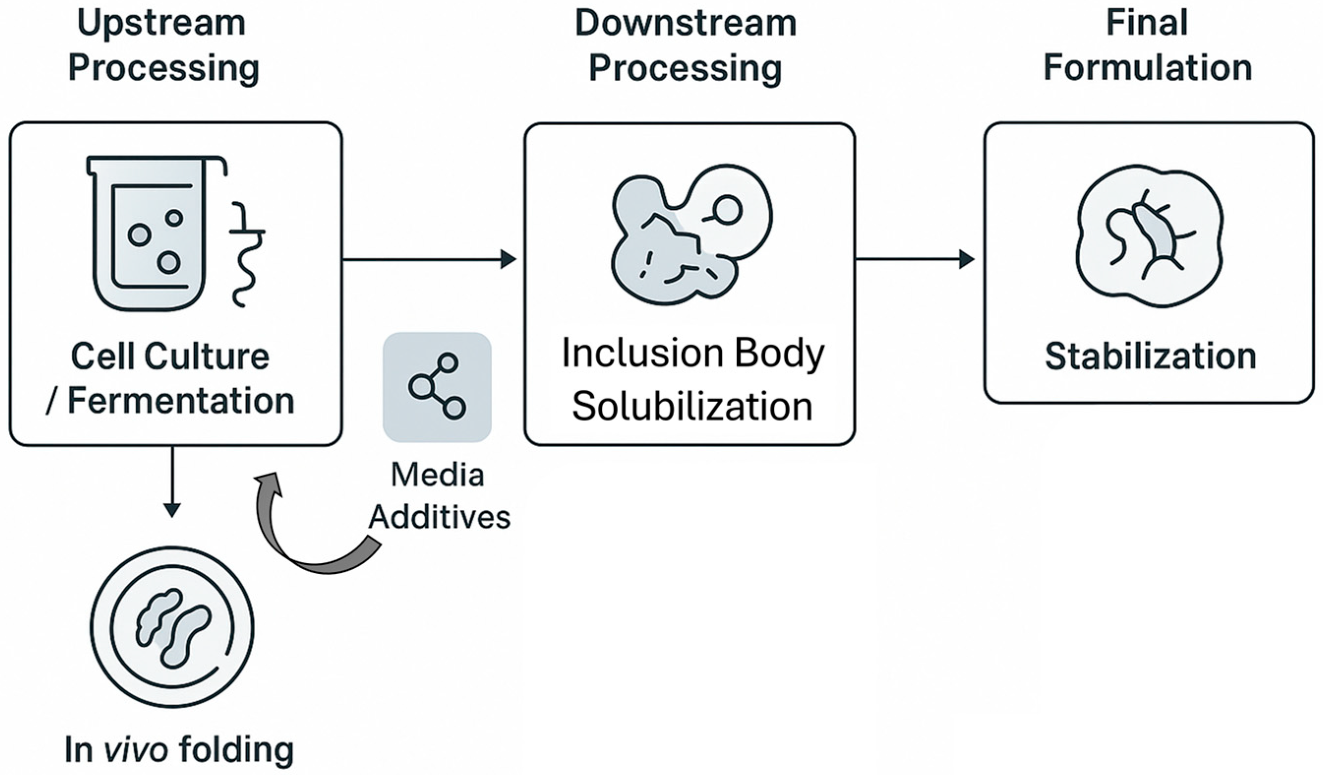 Applmicrobiol 05 00113 g003 Applmicrobiol 05 00113 g003