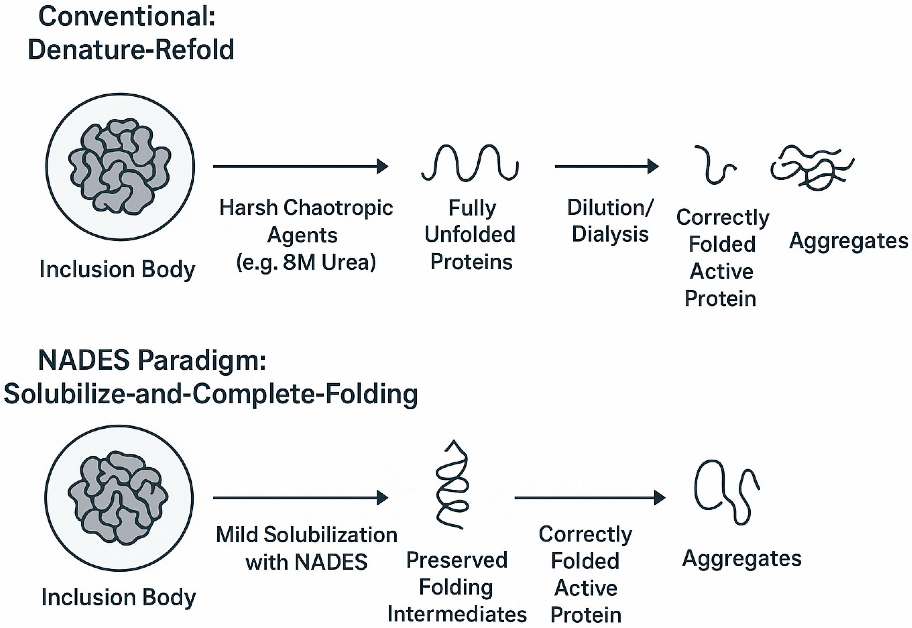 Applmicrobiol 05 00113 g004 Applmicrobiol 05 00113 g004