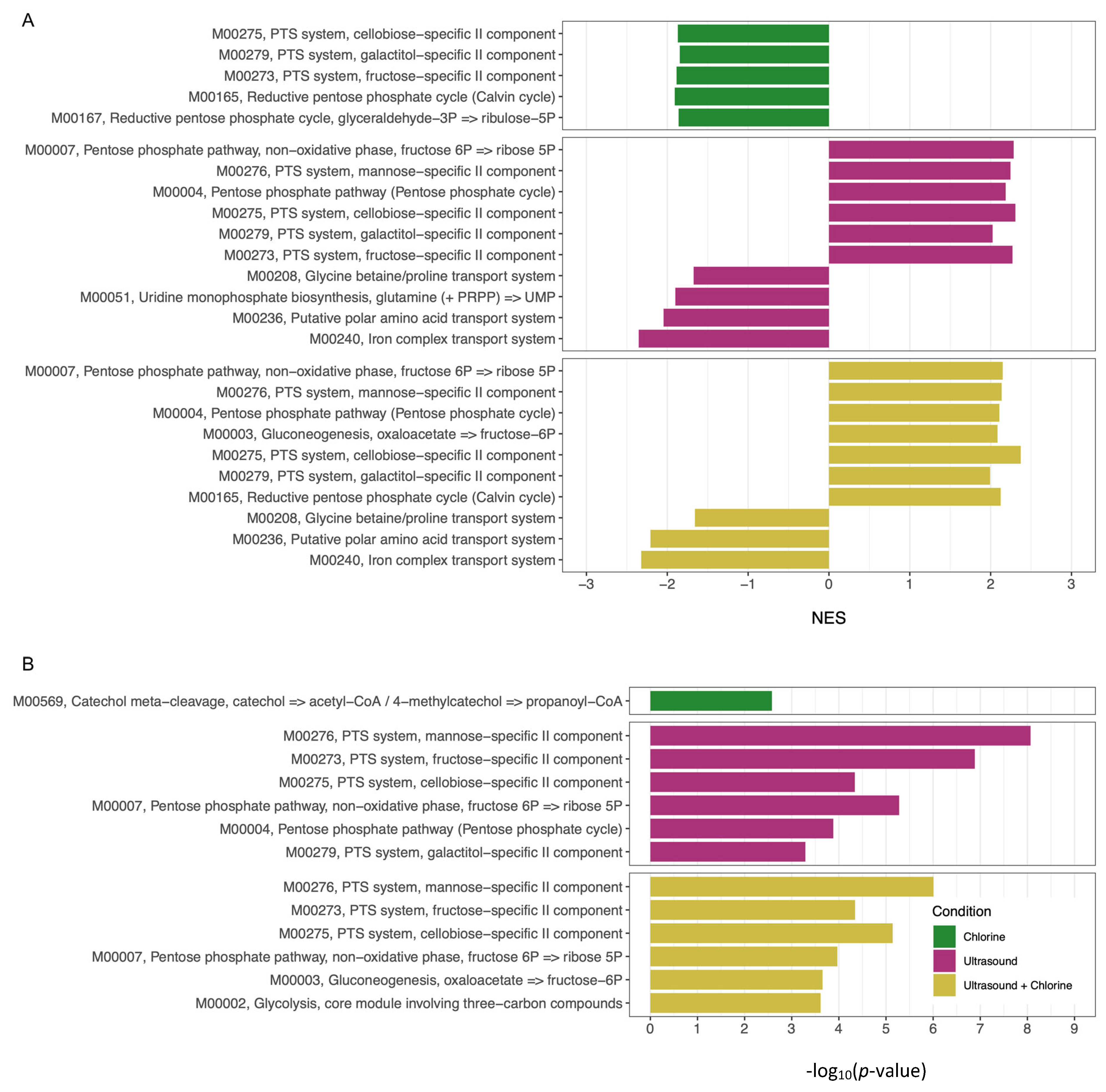 Applmicrobiol 05 00119 g007