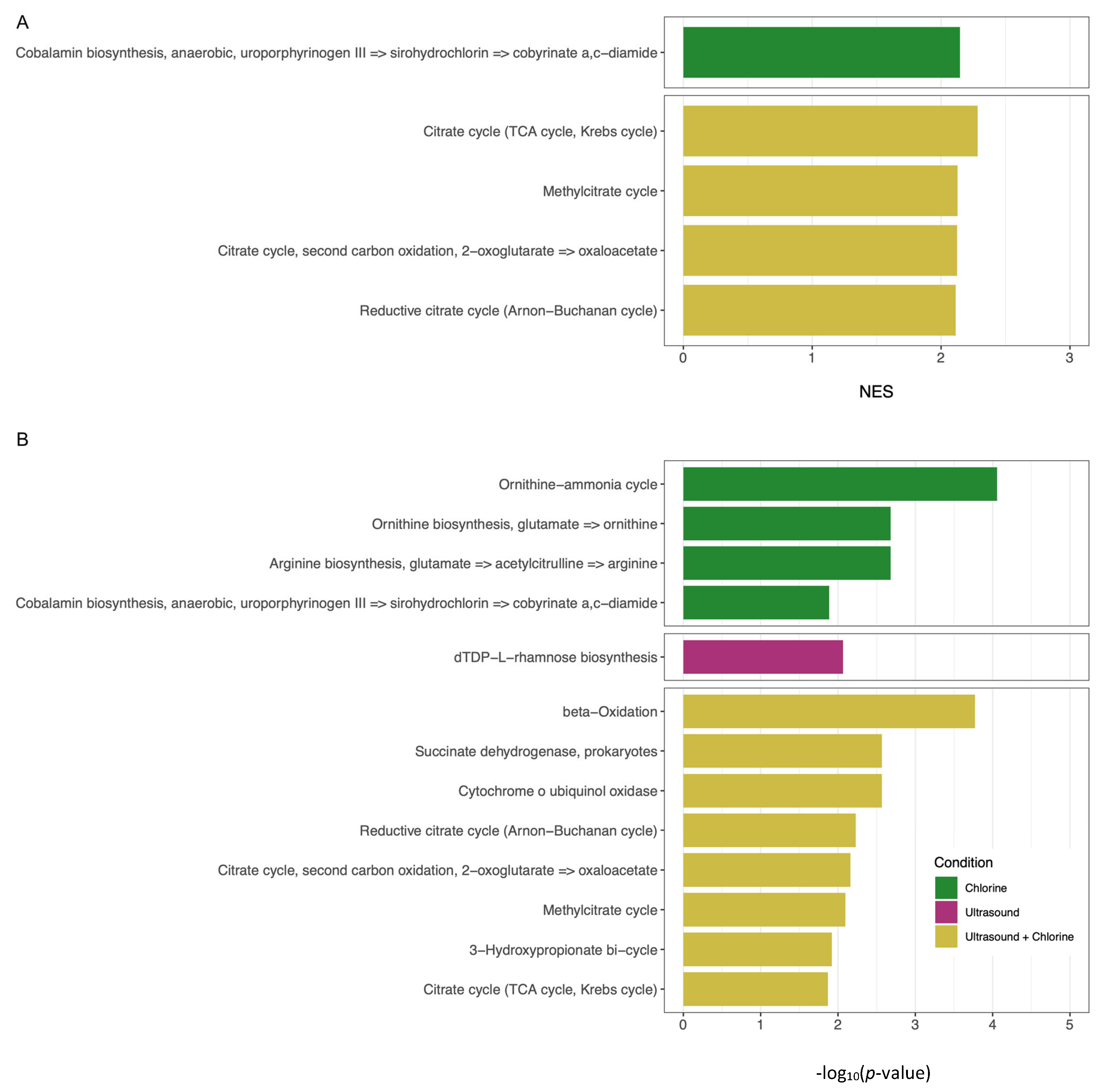 Applmicrobiol 05 00119 g009