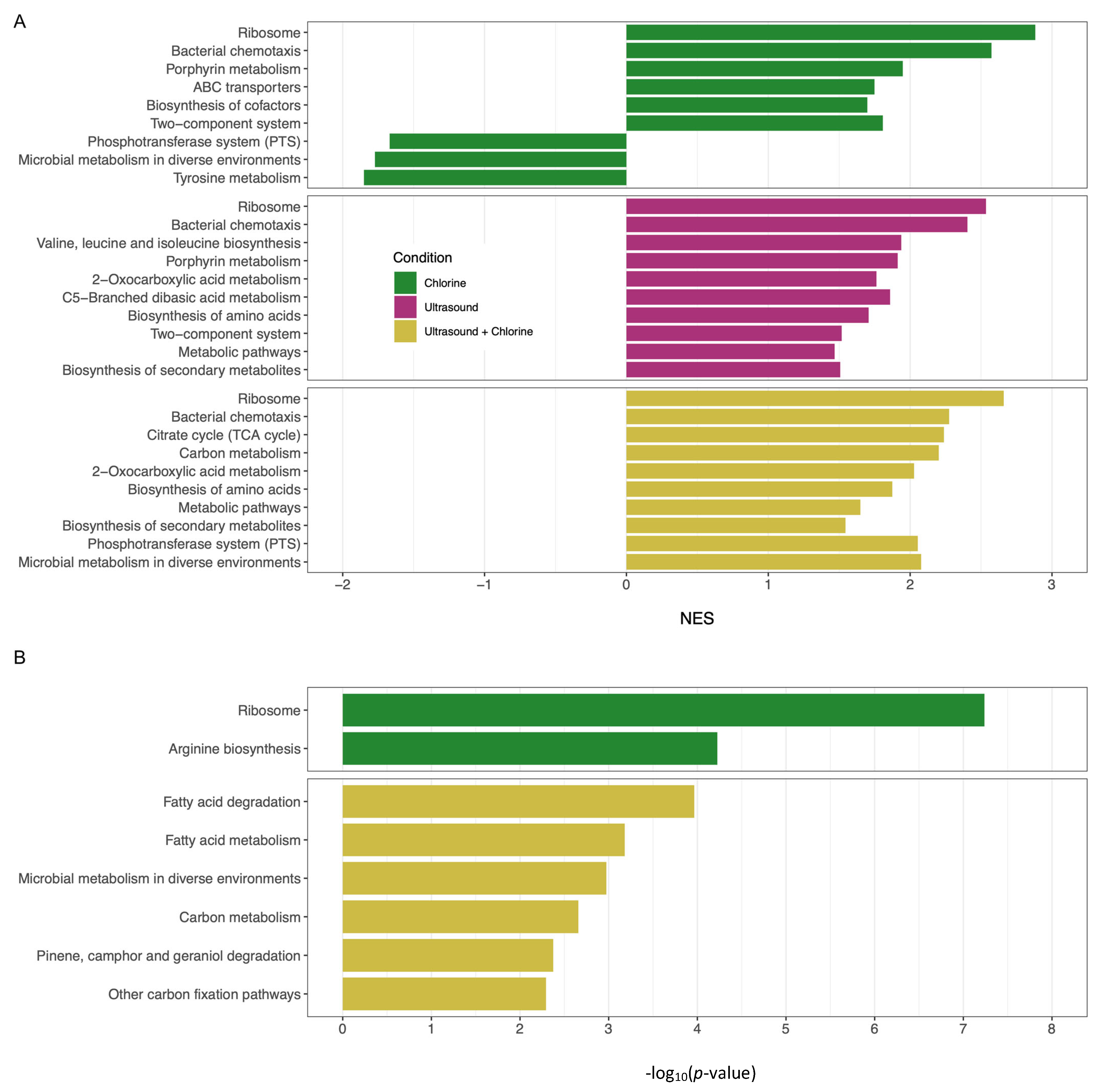 Applmicrobiol 05 00119 g010