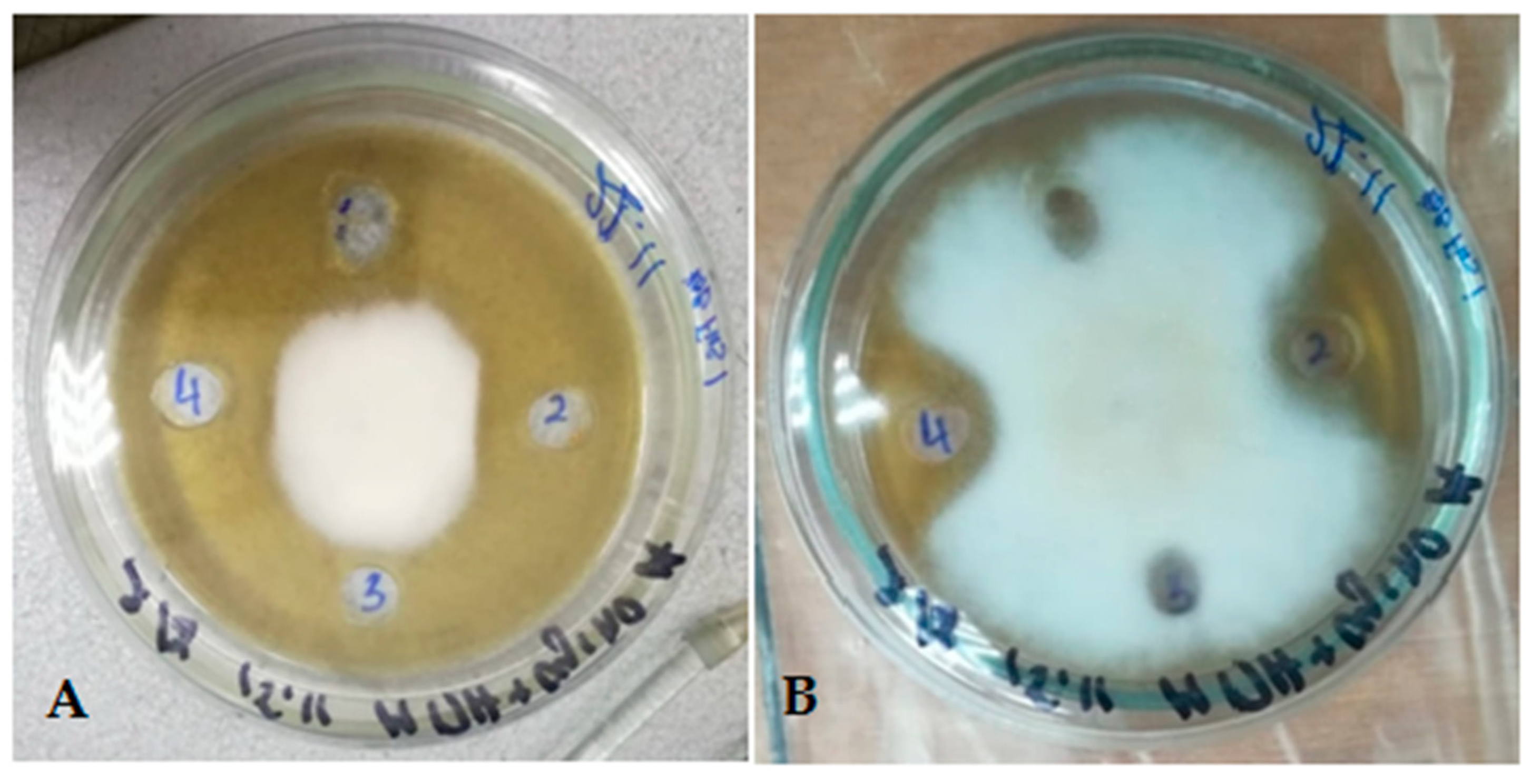 Applmicrobiol 05 00120 g005