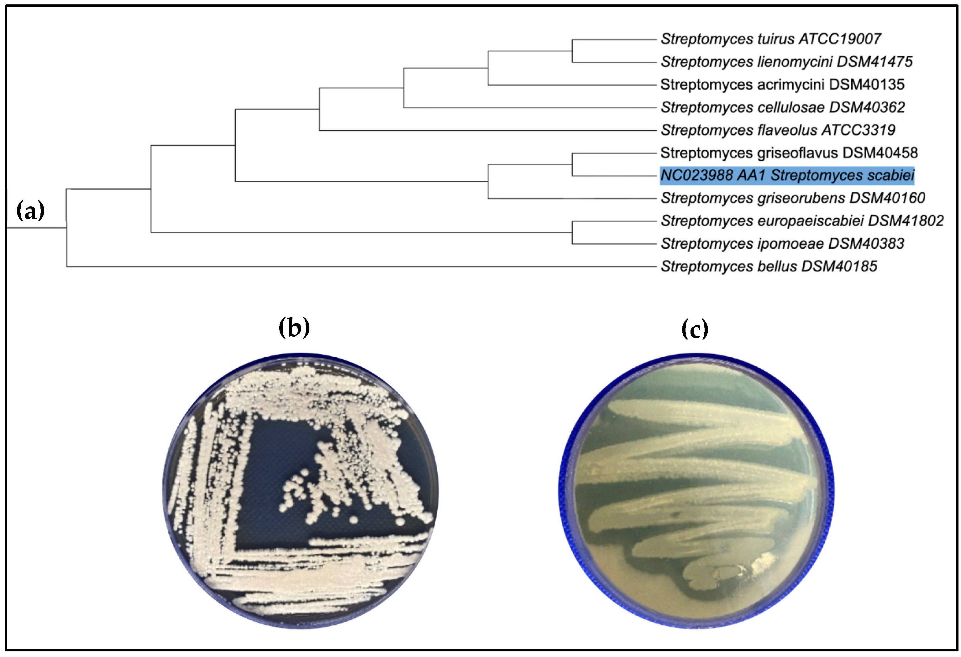 Applmicrobiol 05 00122 g001 Applmicrobiol 05 00122 g001