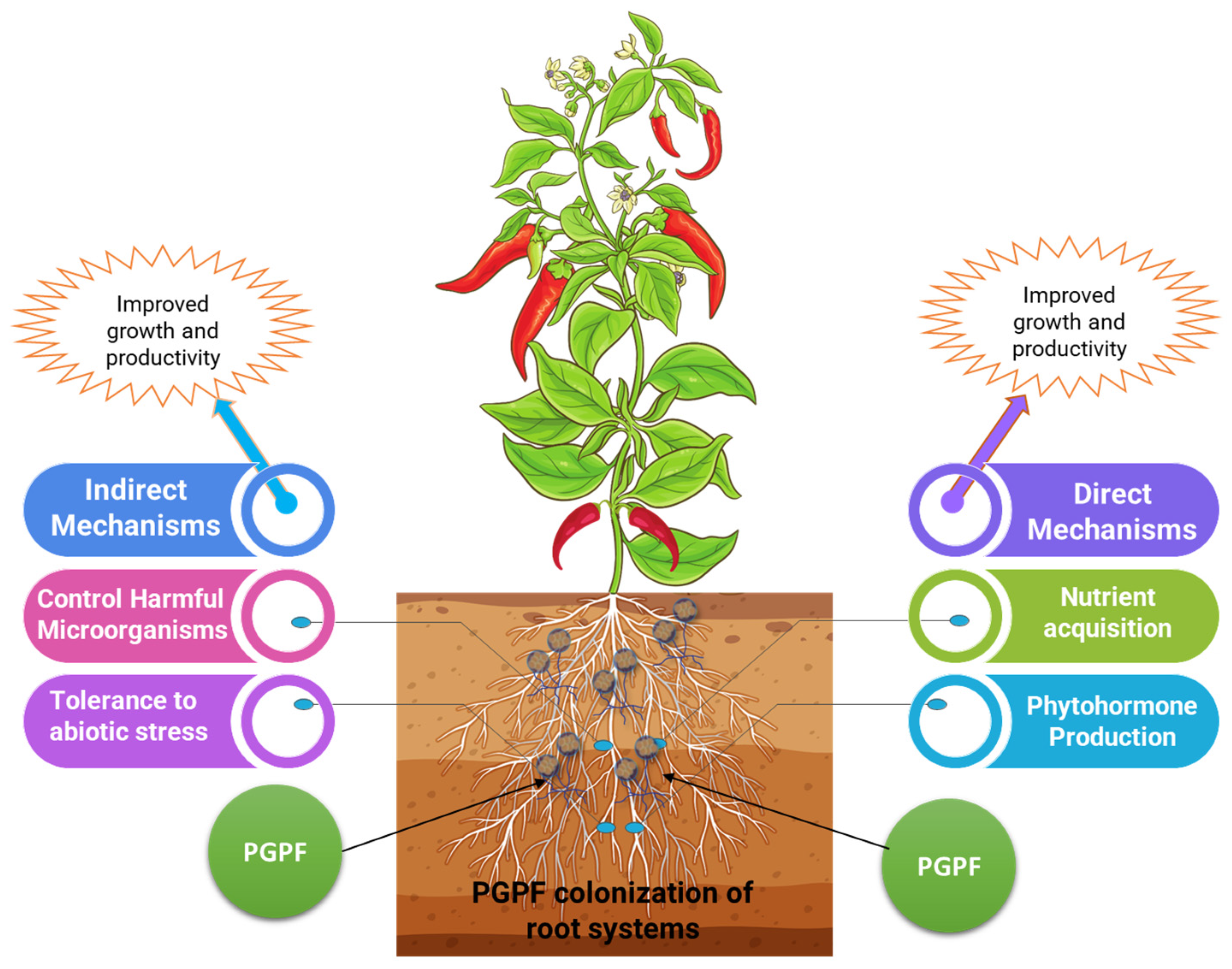 Applmicrobiol 05 00123 g002 Applmicrobiol 05 00123 g002