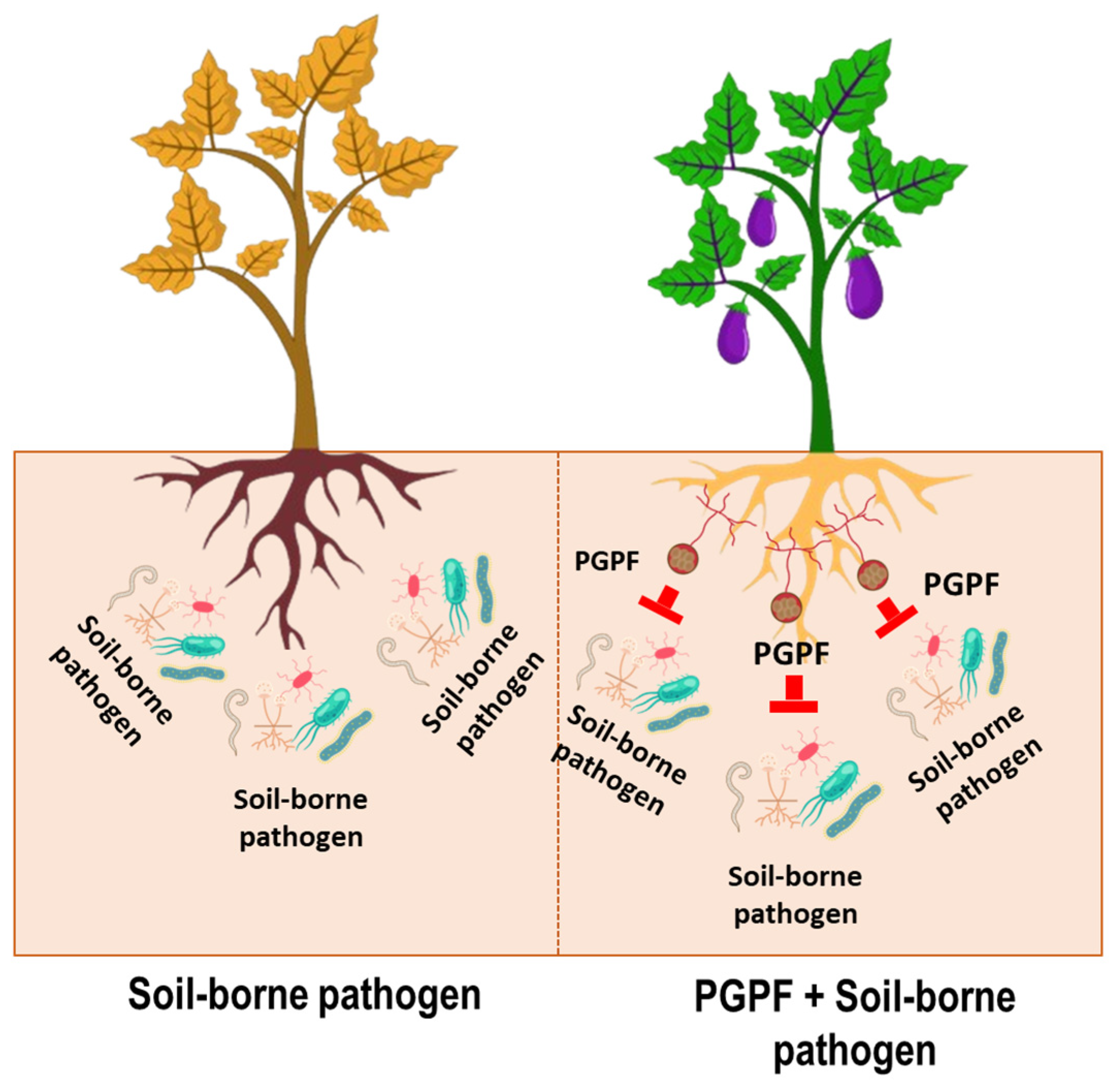 Applmicrobiol 05 00123 g004 Applmicrobiol 05 00123 g004