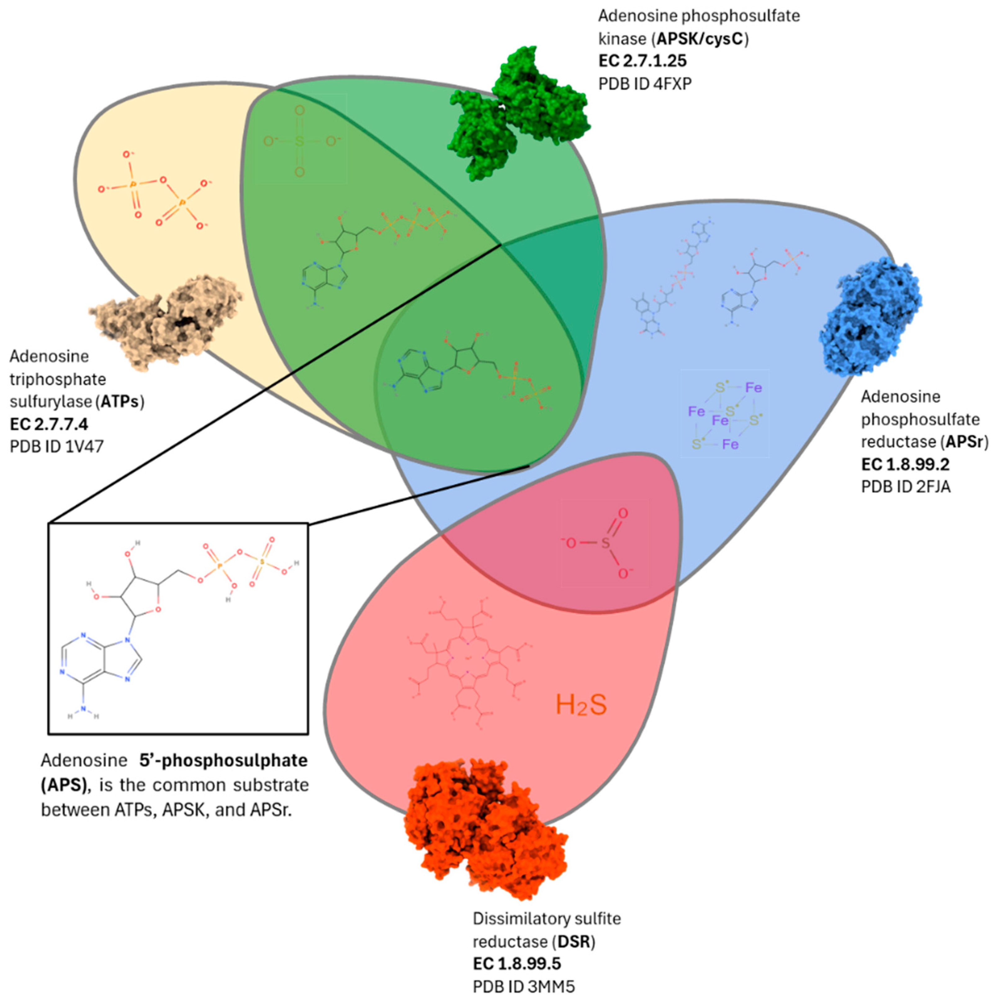 Applmicrobiol 05 00128 g004