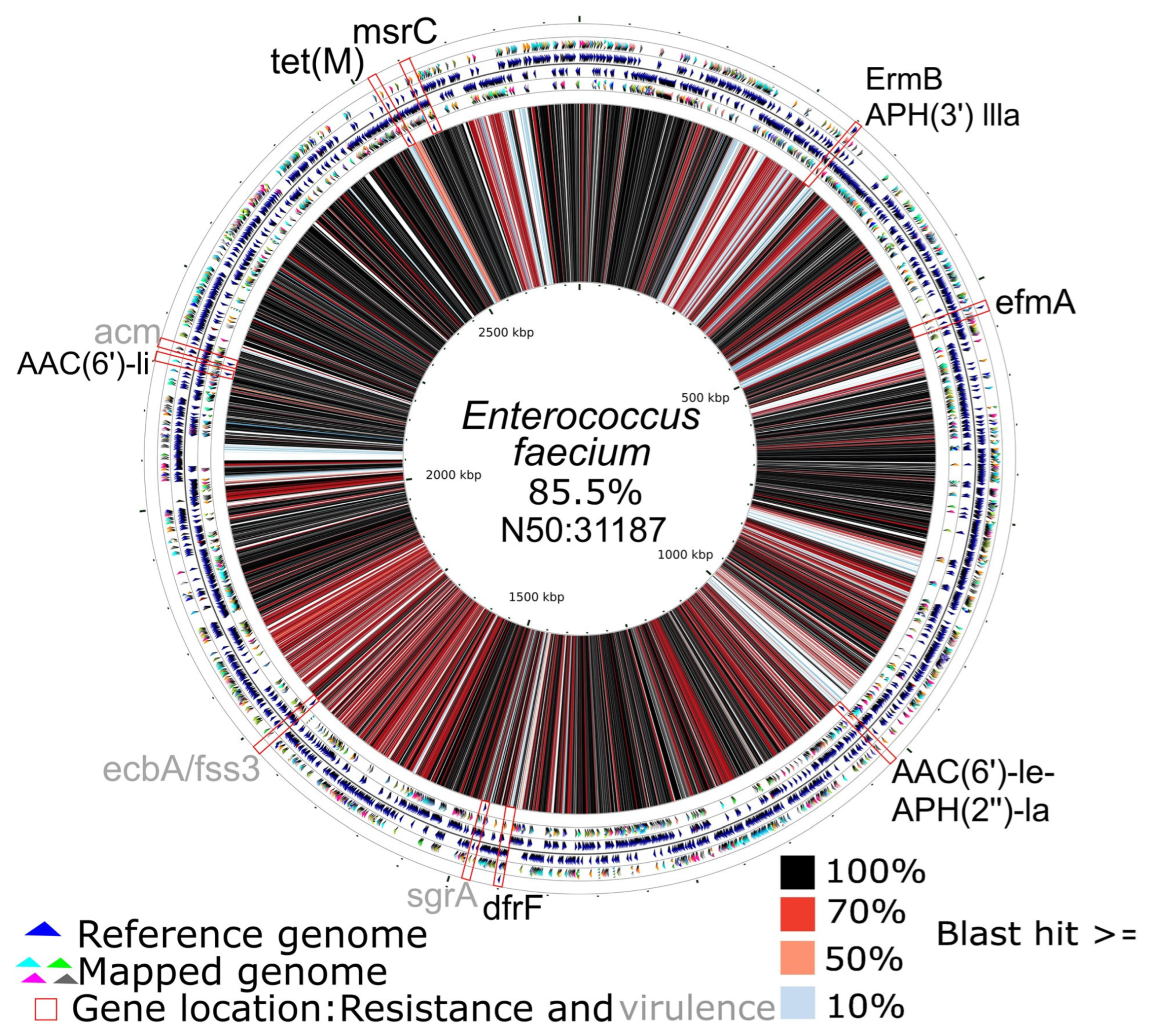 Applmicrobiol 05 00129 g005