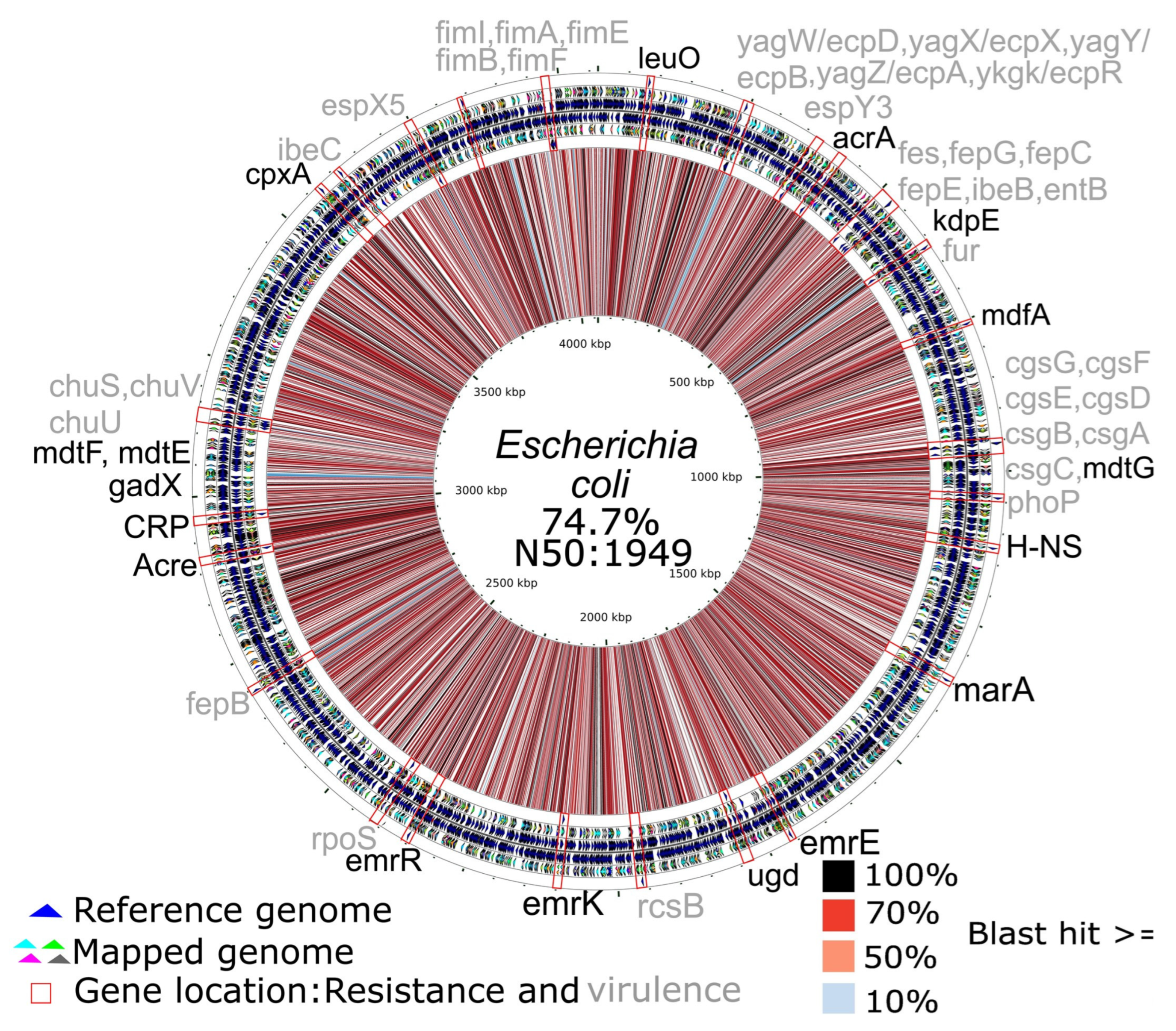 Applmicrobiol 05 00129 g006