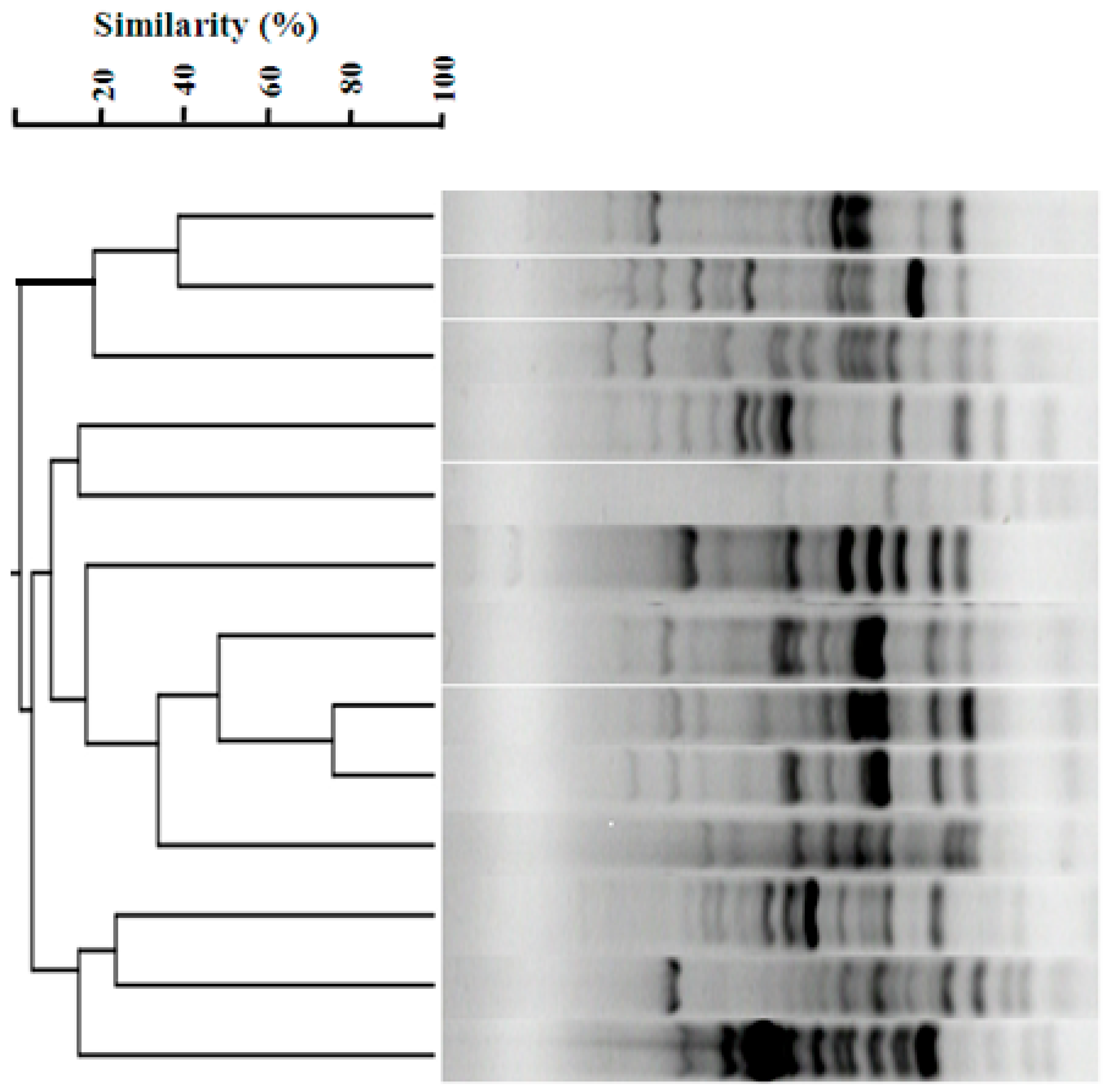 Applmicrobiol 05 00136 g003