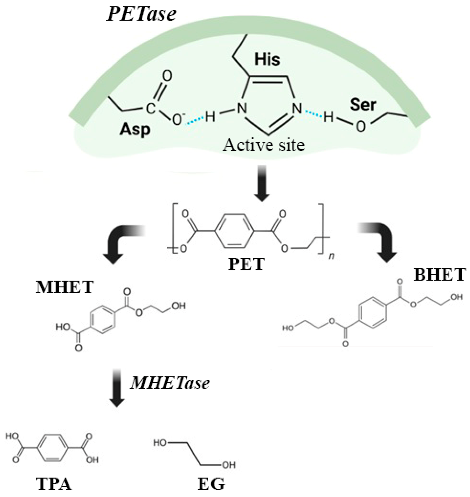 Applmicrobiol 05 00139 g003
