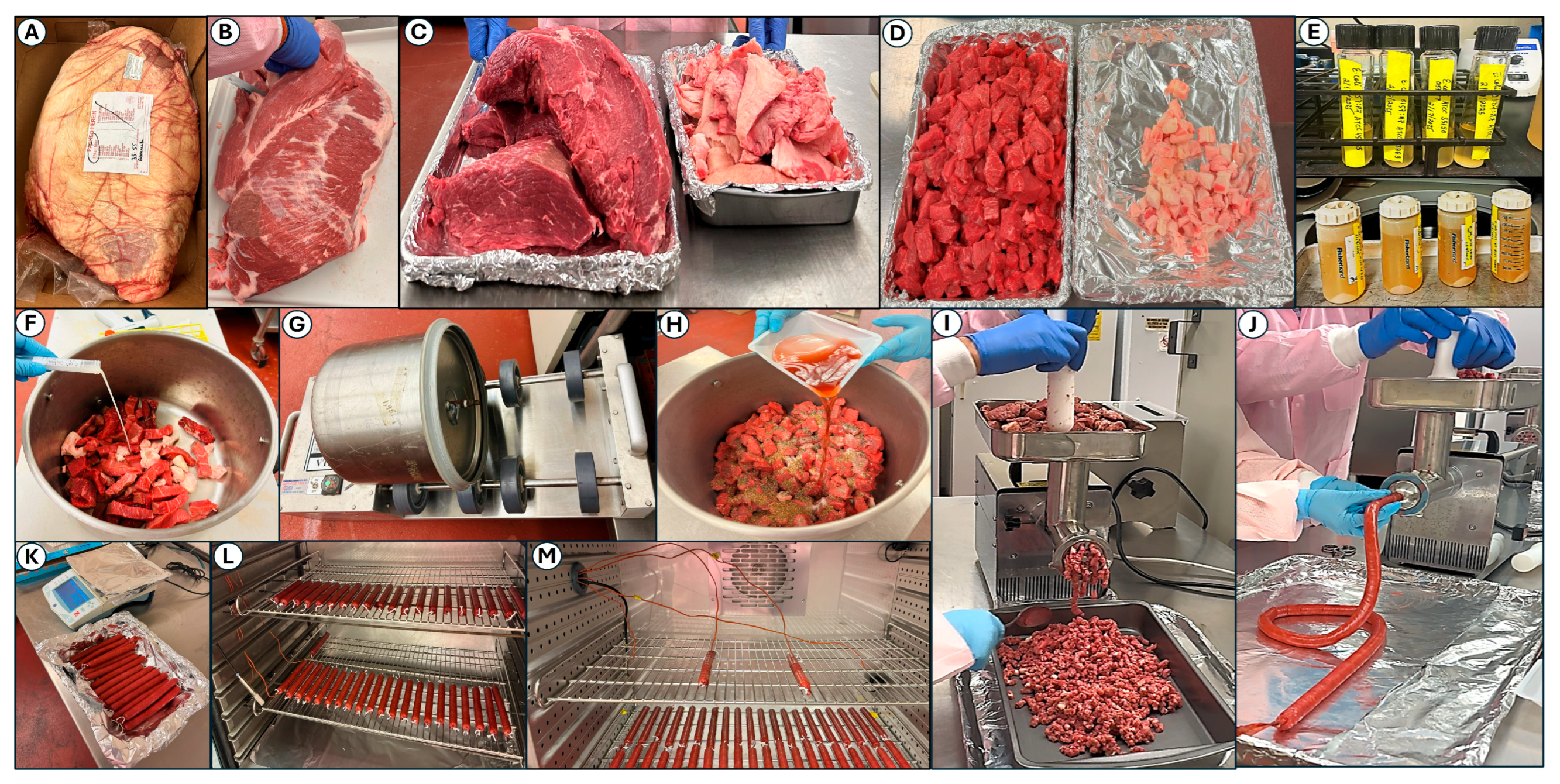 Applmicrobiol 05 00145 g001