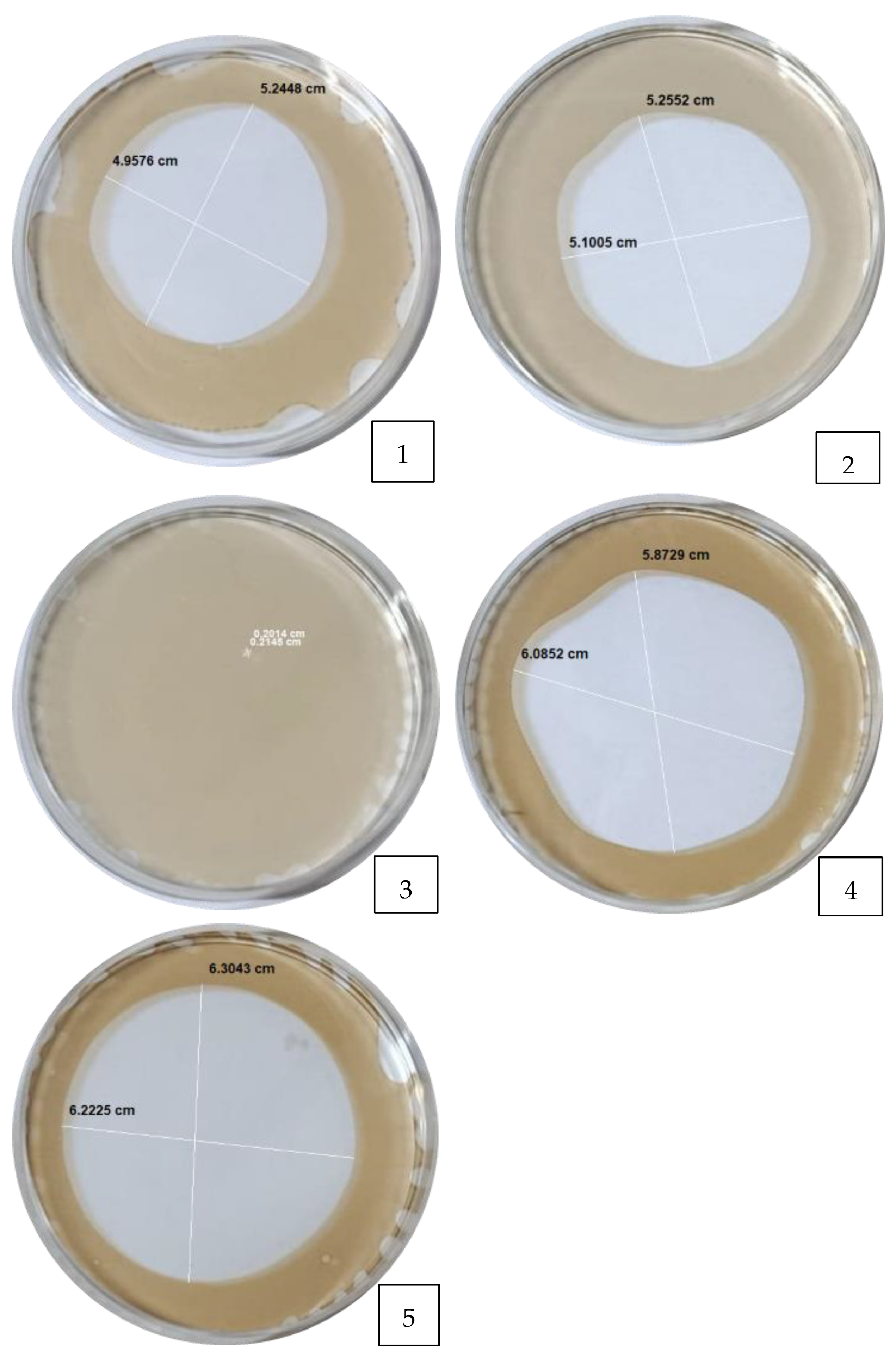 Applmicrobiol 05 00147 g0a3