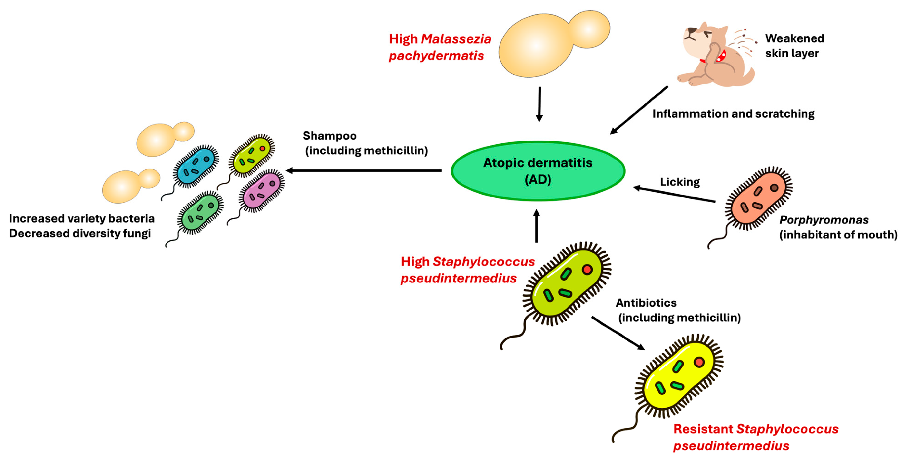 Applmicrobiol 05 00148 g002 Applmicrobiol 05 00148 g002