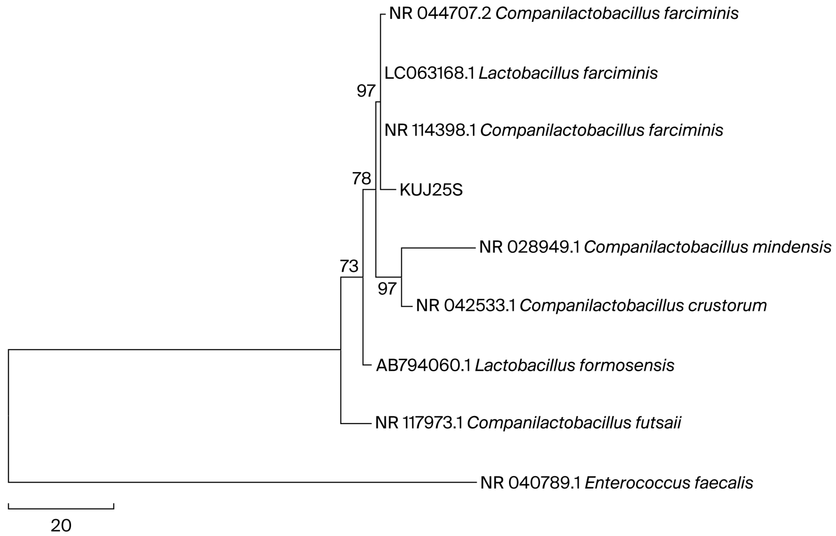 Applmicrobiol 06 00001 g001