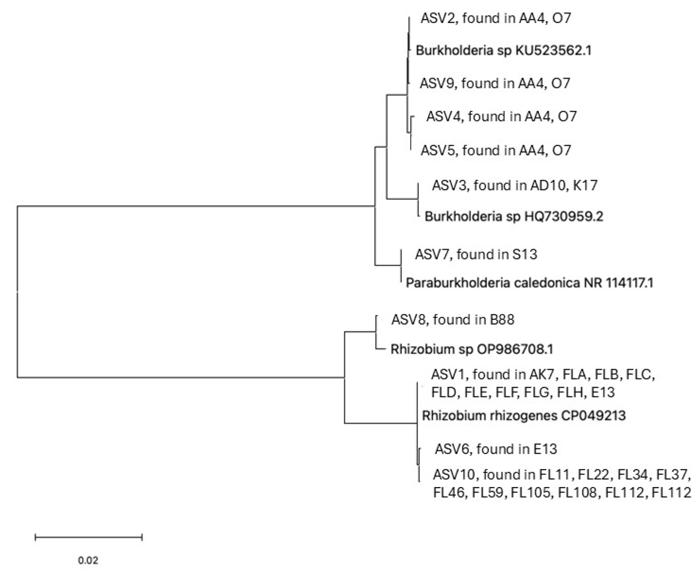 Applmicrobiol 06 00022 g006 Applmicrobiol 06 00022 g006