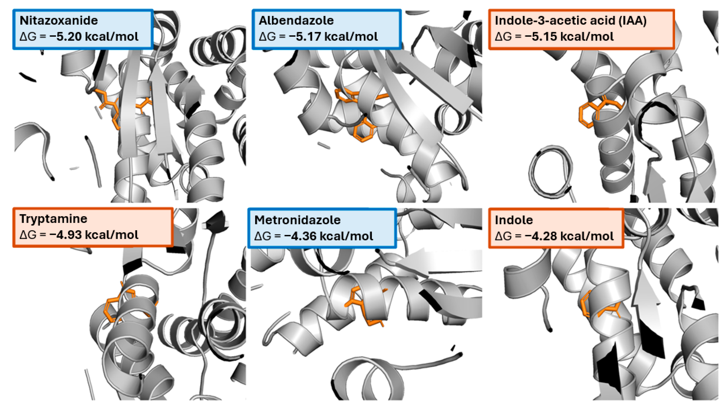 Applmicrobiol 06 00023 g009
