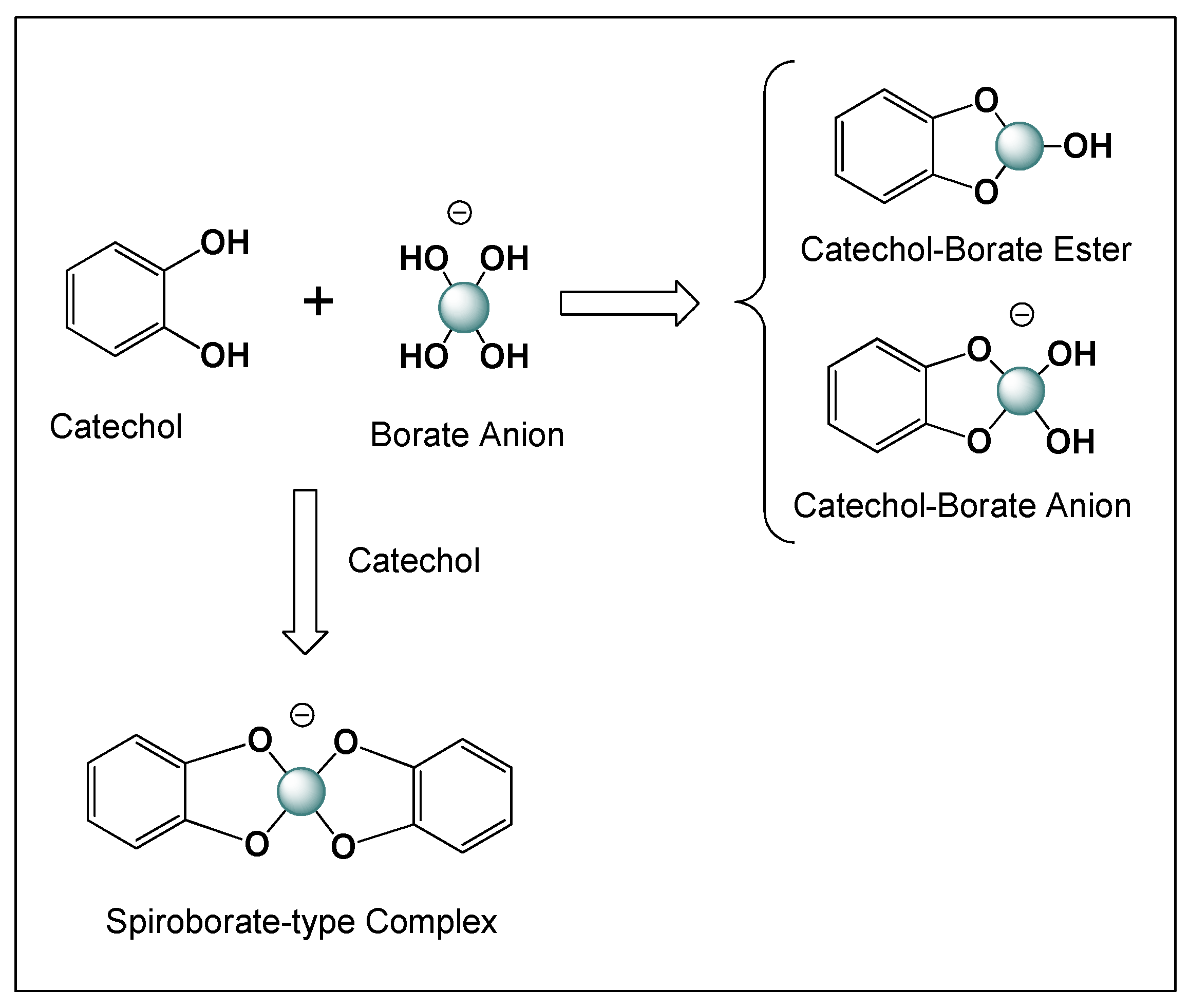 Applmicrobiol 06 00050 g003 Applmicrobiol 06 00050 g003