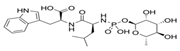 Applmicrobiol 06 00051 i007