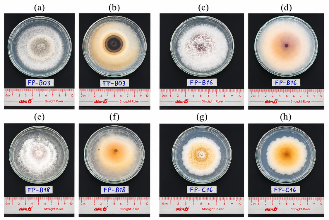 Applmicrobiol 06 00058 g001 Applmicrobiol 06 00058 g001