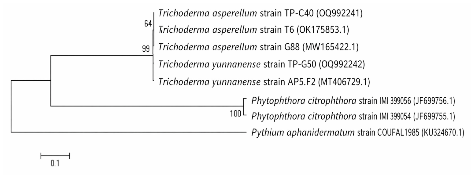 Applmicrobiol 06 00058 g006 Applmicrobiol 06 00058 g006