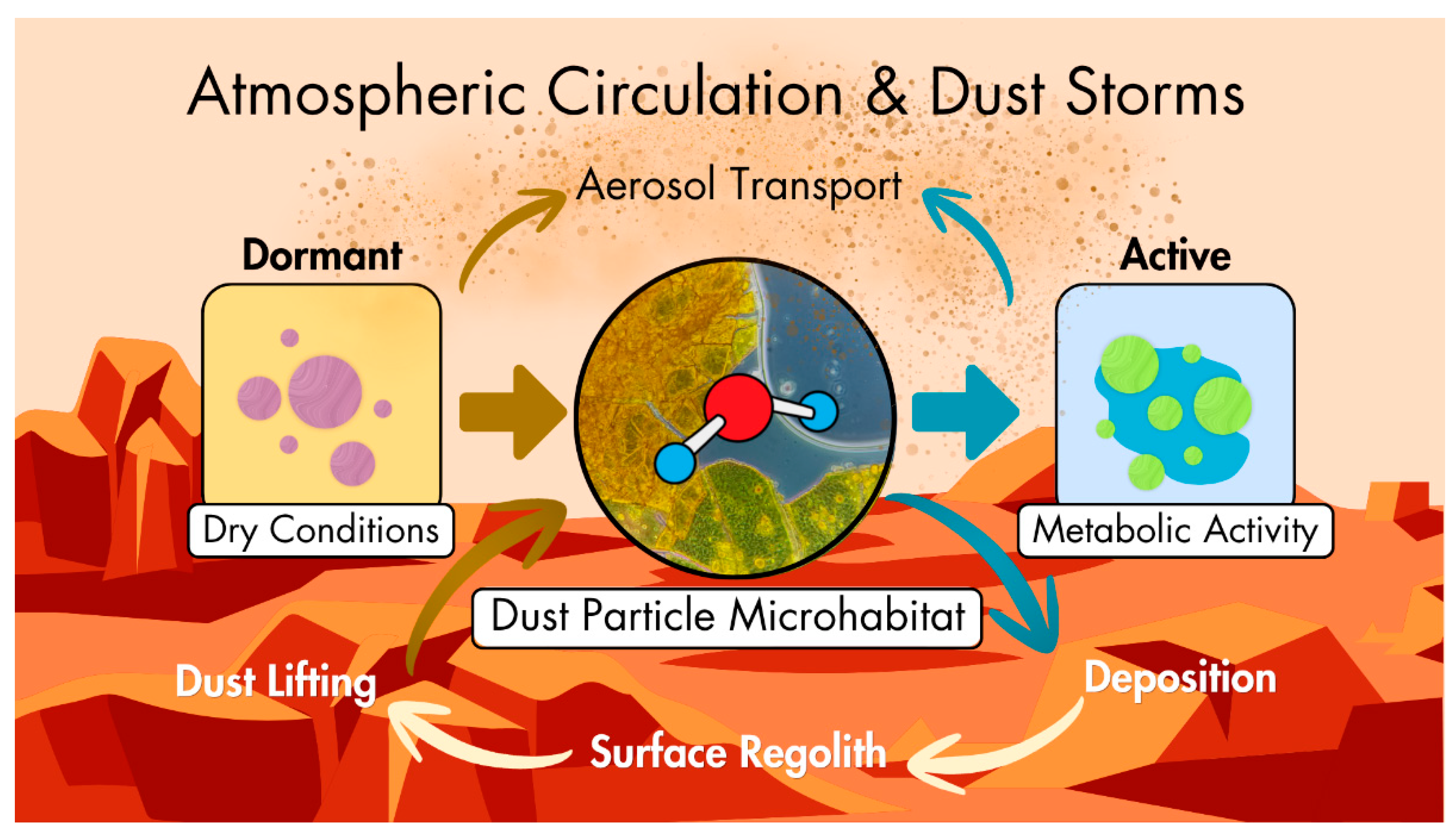 Applmicrobiol 06 00066 g001