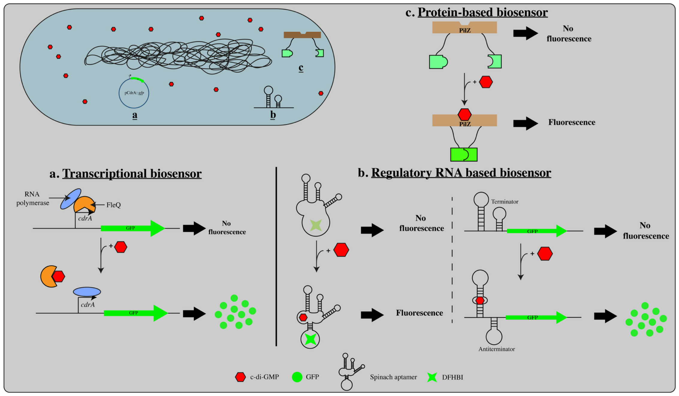 Applmicrobiol 06 00105 g001 Applmicrobiol 06 00105 g001