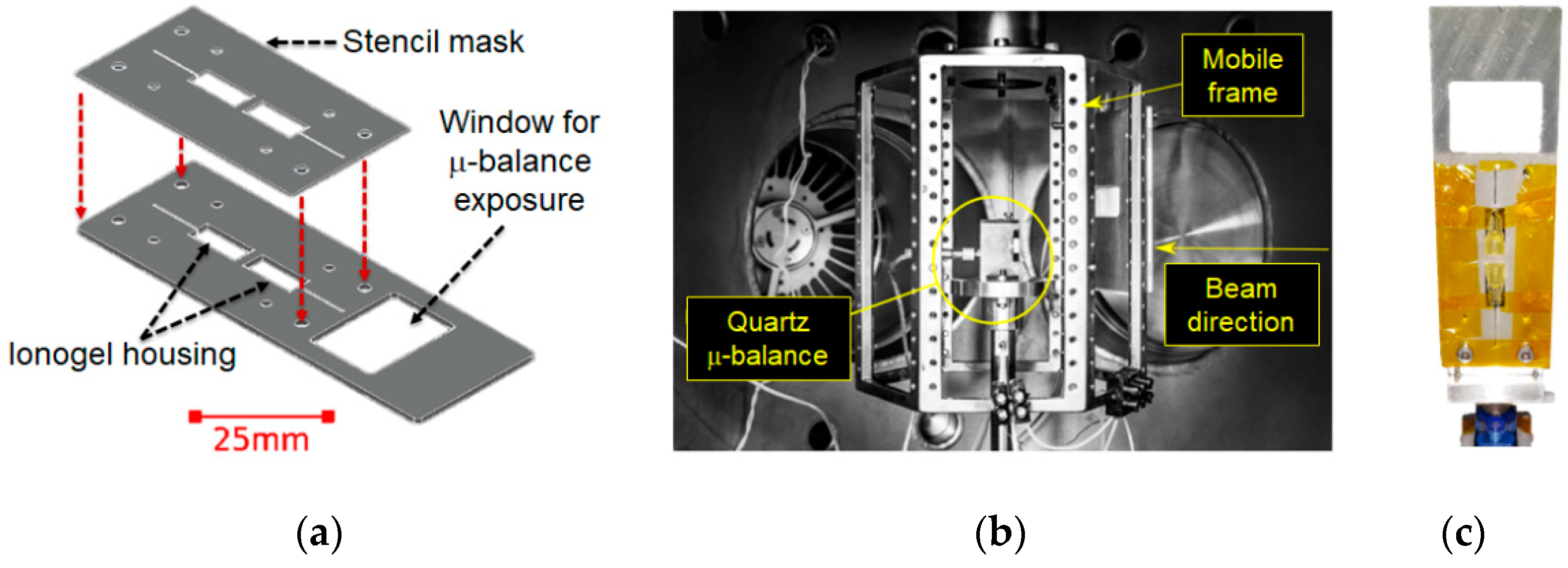 Applnano 01 00005 g003