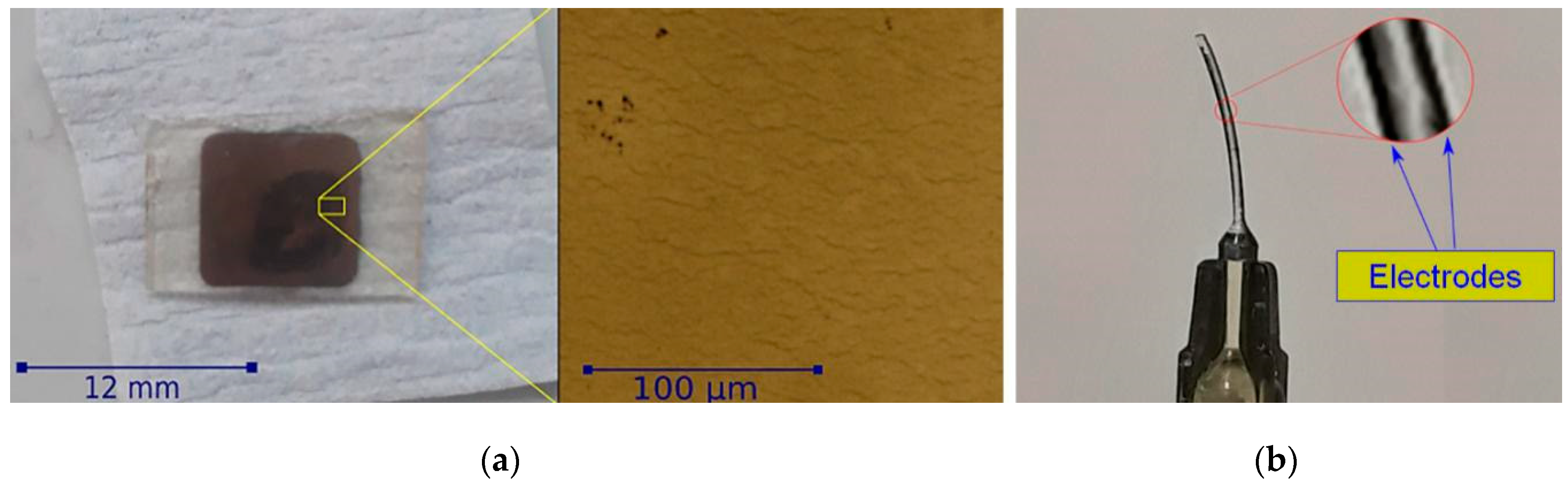 Applnano 01 00005 g004