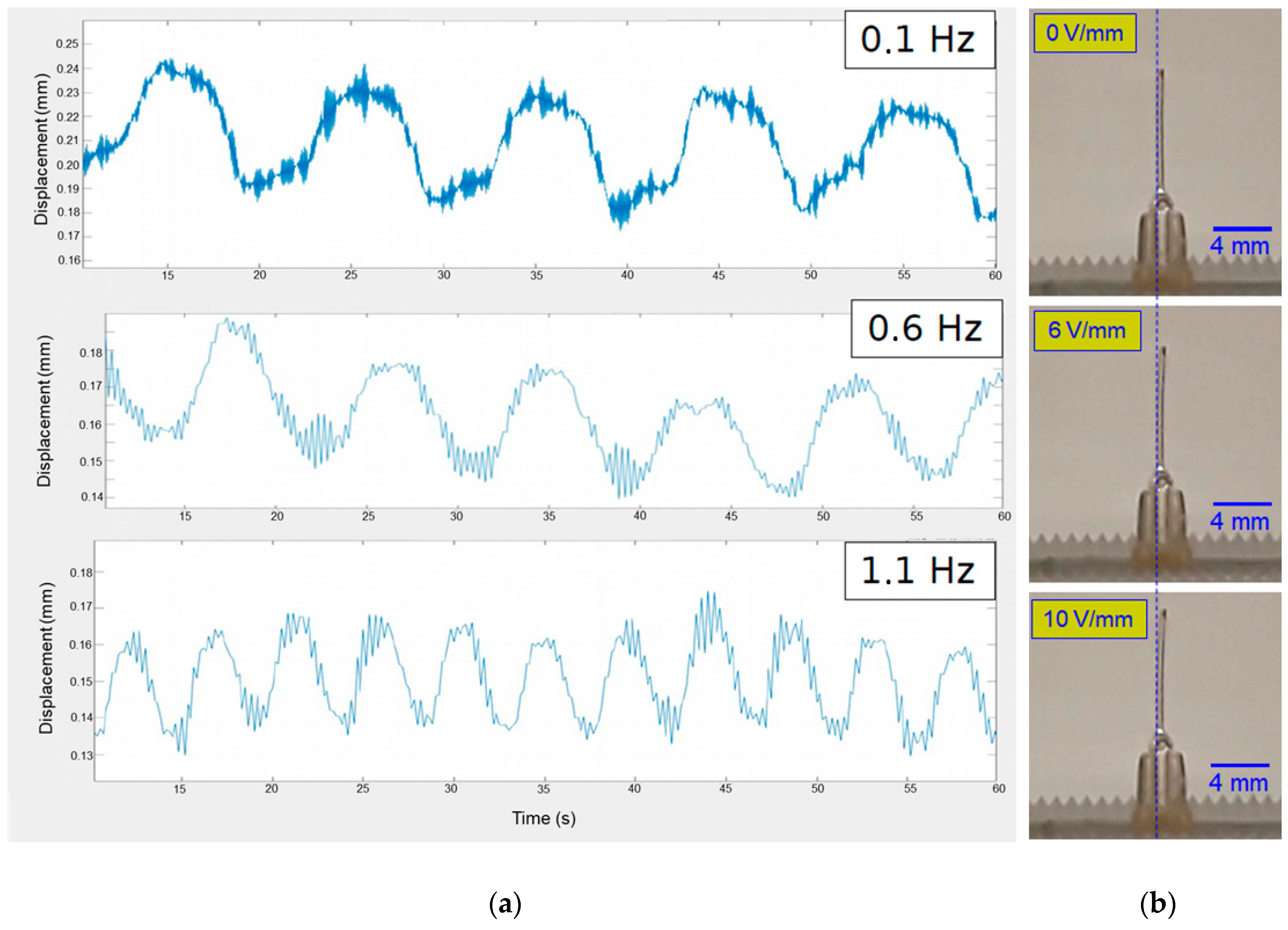 Applnano 01 00005 g006