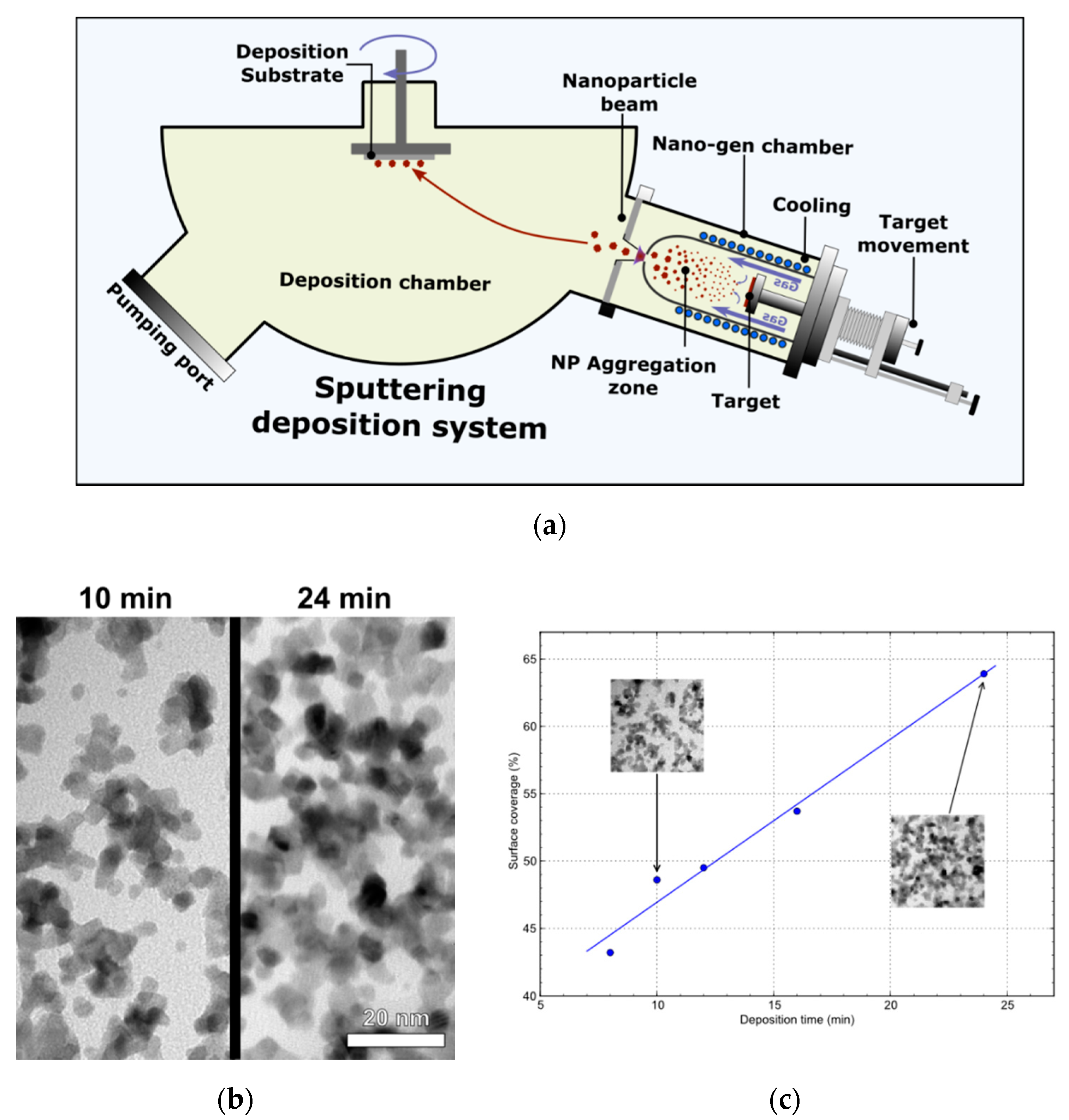 Applnano 01 00006 g001