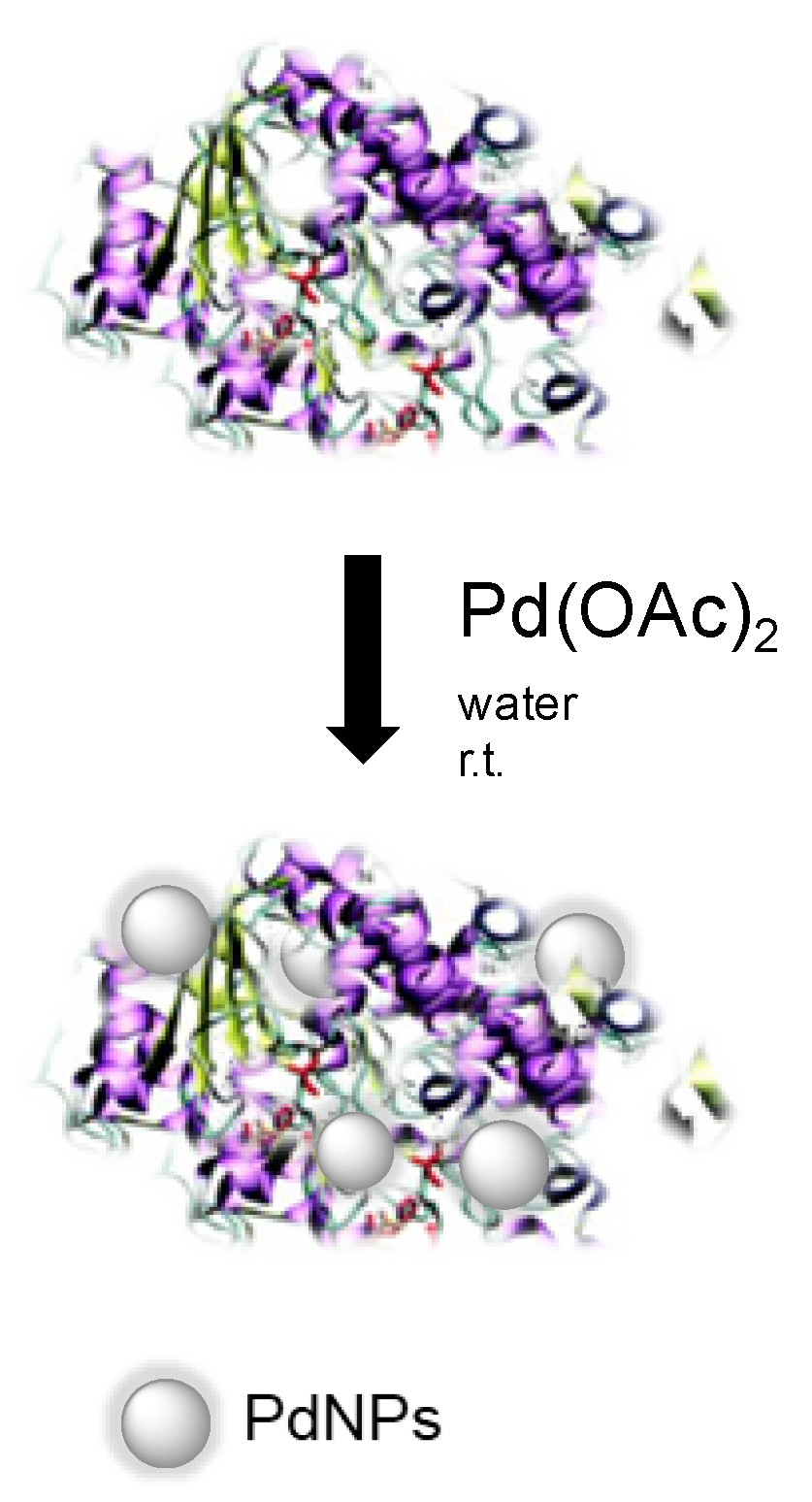 Applnano 02 00001 g001