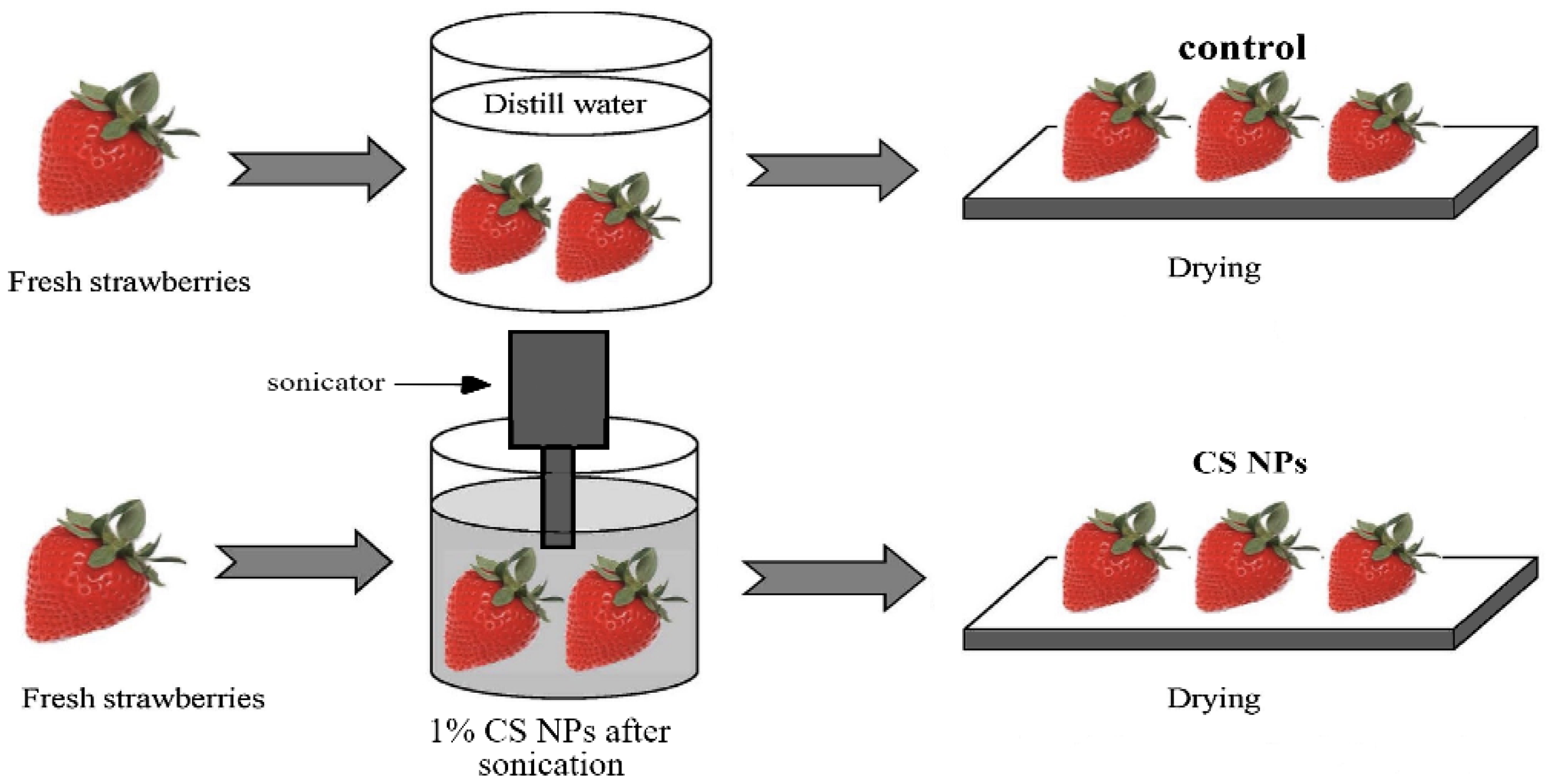 Applied Nano Free FullText Extending the Shelf Life of Strawberries by the Sonochemical