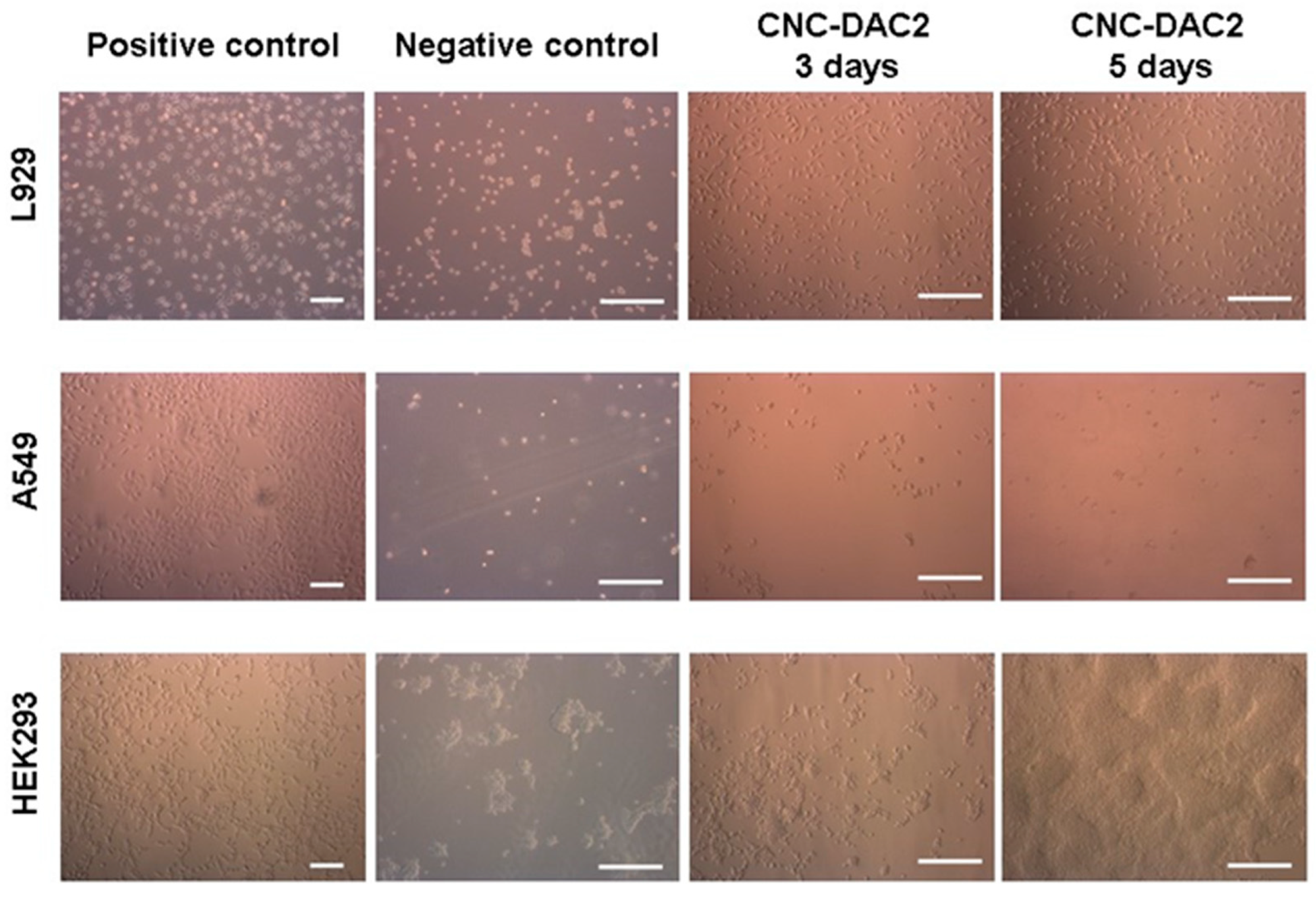Applnano 02 00010 g005