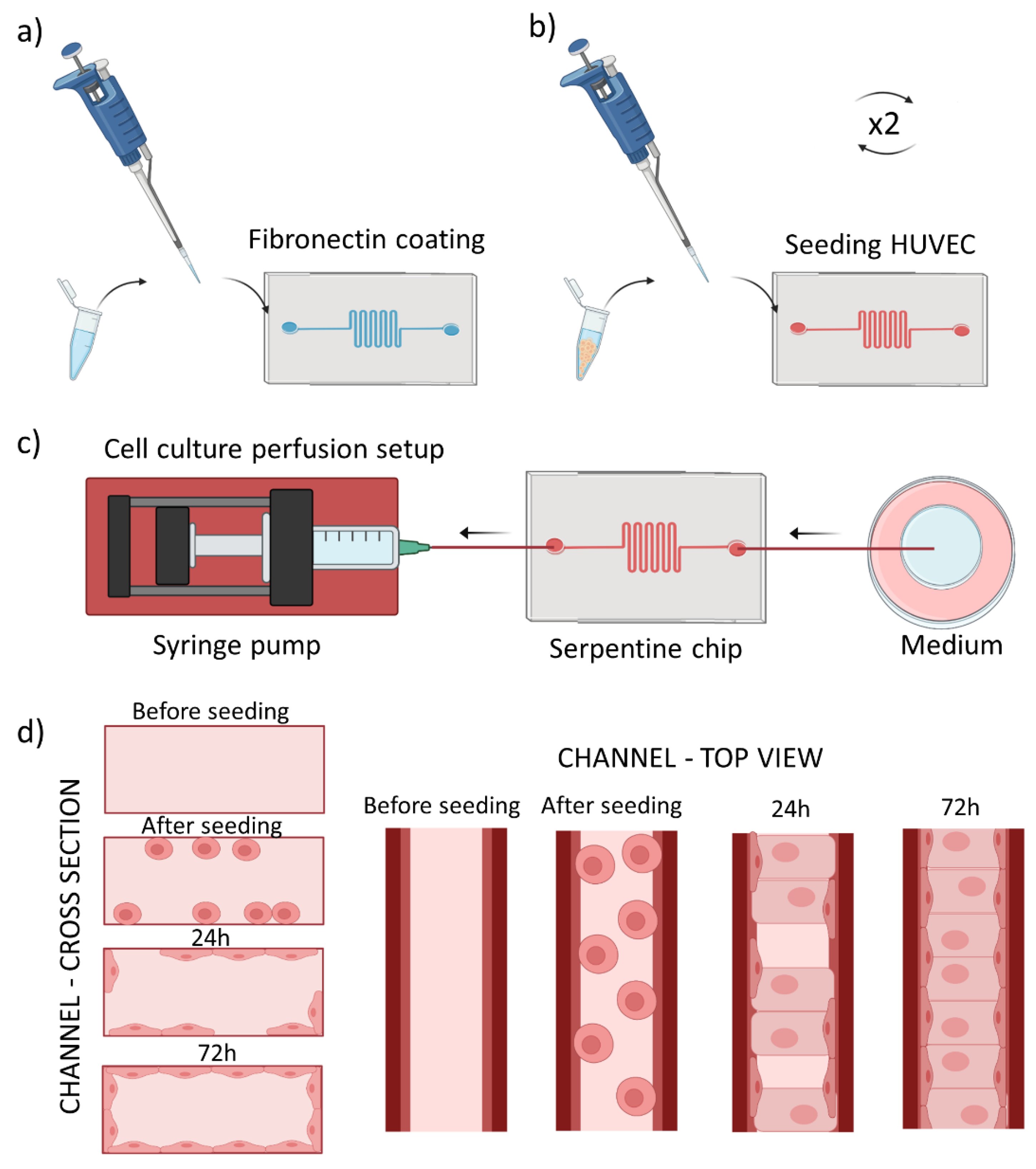 Applnano 02 00021 g001